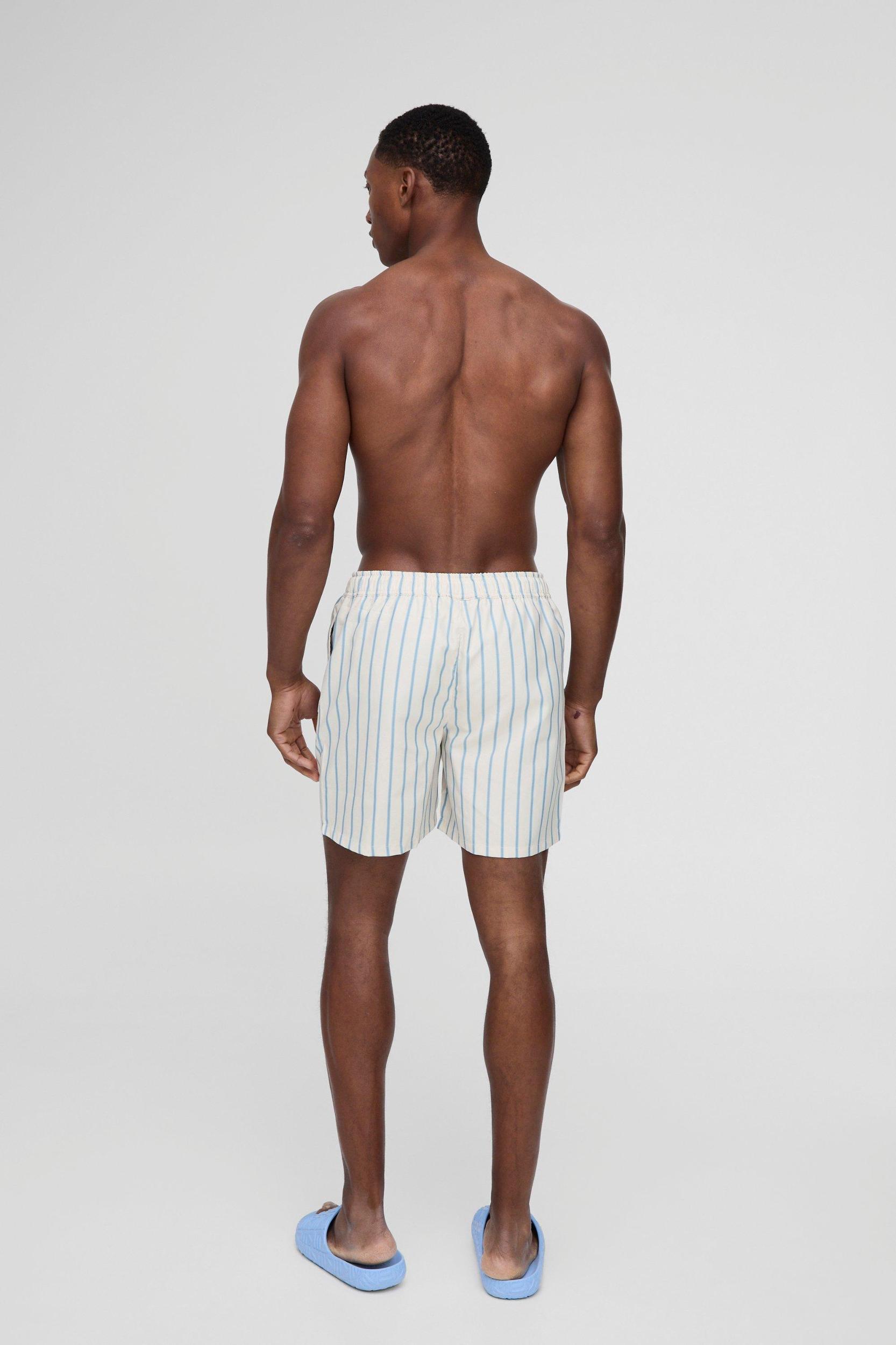 Mid Length Stripe Swim Trunks | boohooMAN USA Product Image