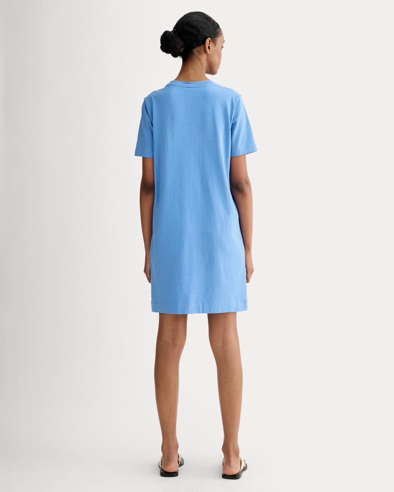 Womens Organic Cotton Weekend Tee Dress by Everlane Product Image