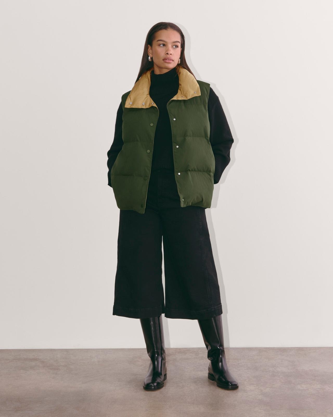 Womens Puffer Vest Coat by Everlane Product Image