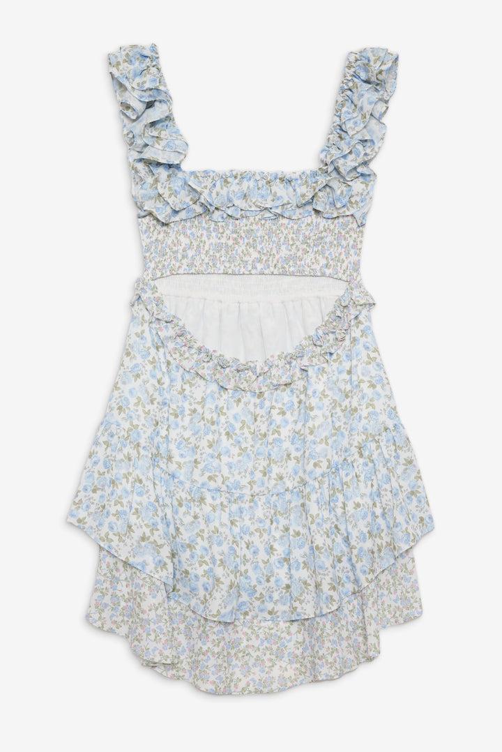 Riley Mini Dress — Blue Product Image