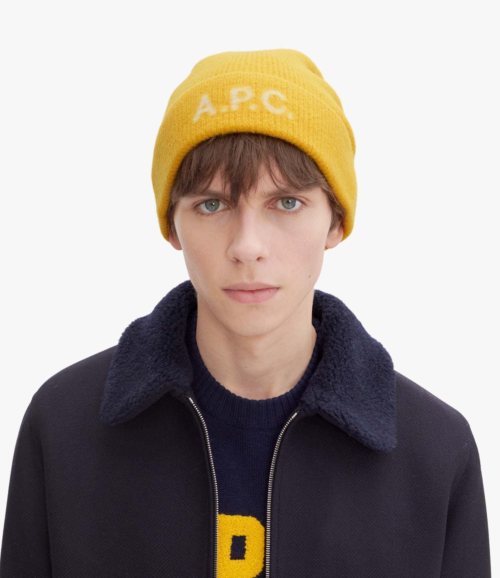 Harry beanie Male Product Image