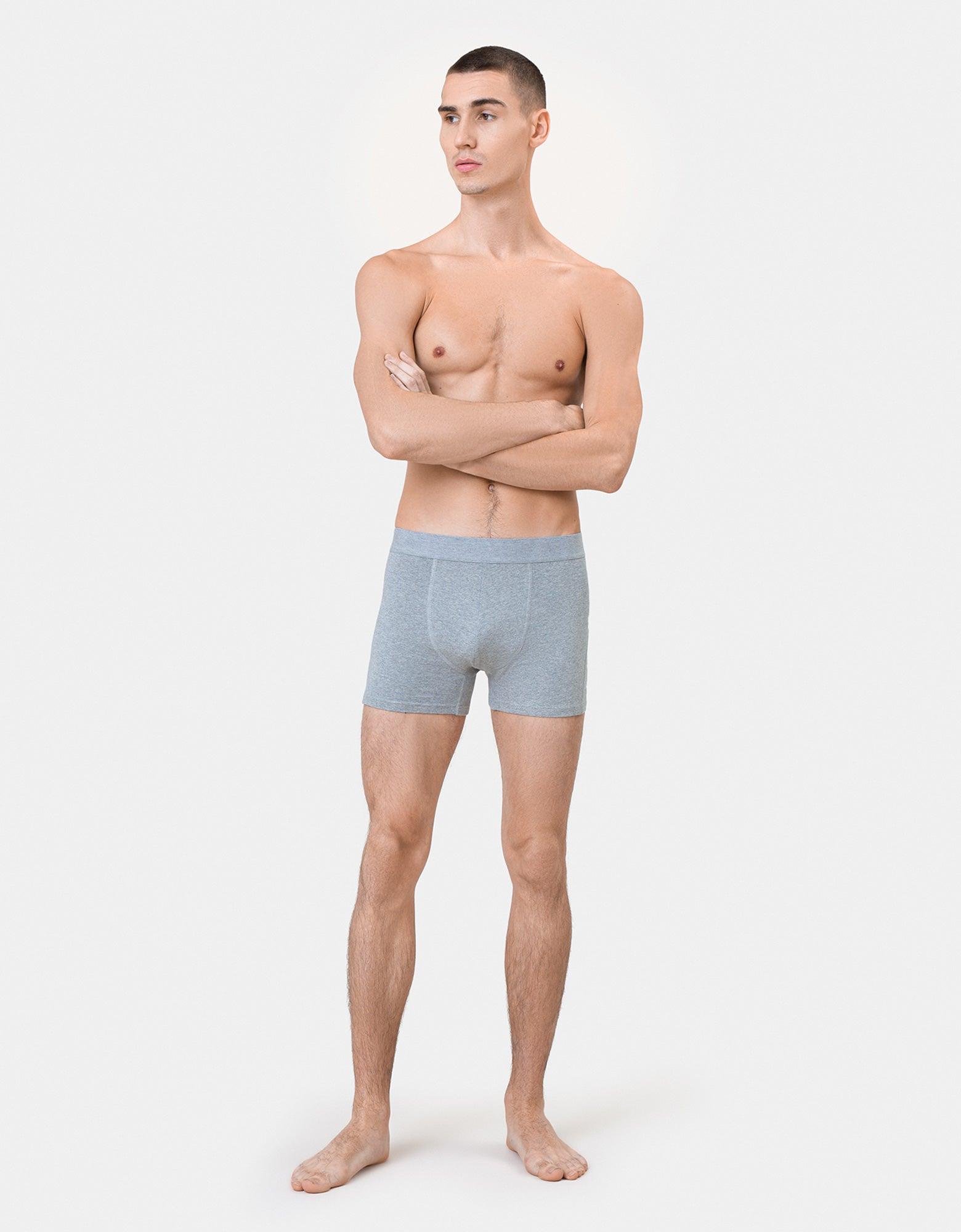 Classic Organic Boxer Briefs - Heather Grey Product Image
