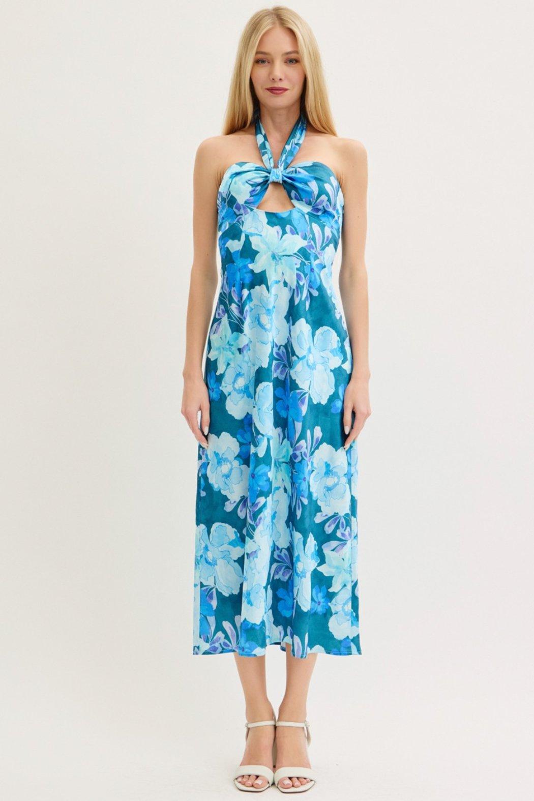 Blue Nile Maxi Dress Product Image