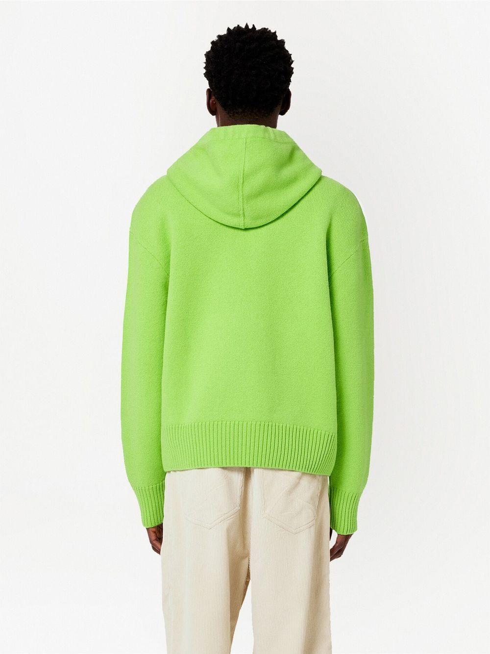 Ami de Coeur hoodie Product Image