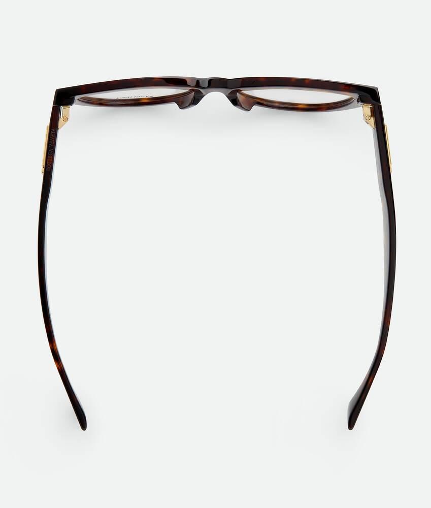 Women's Classic Recycled Acetate Cat Eye Eyeglasses in Havana/transparent Product Image