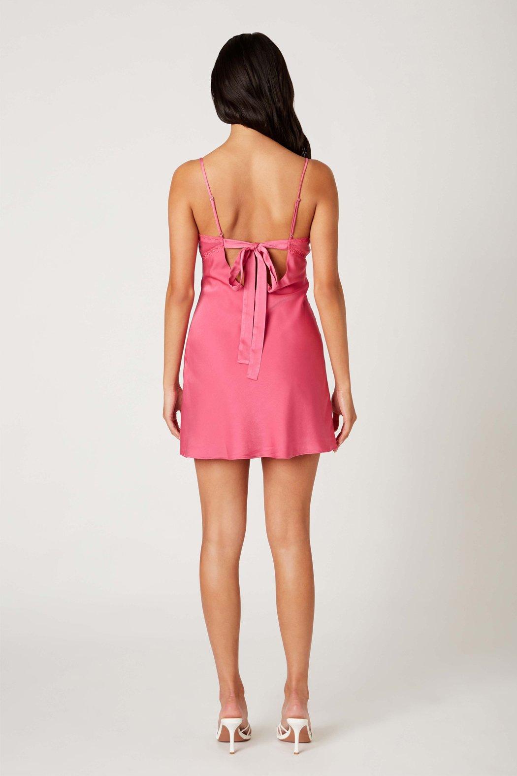 Lisa Mini Dress Product Image