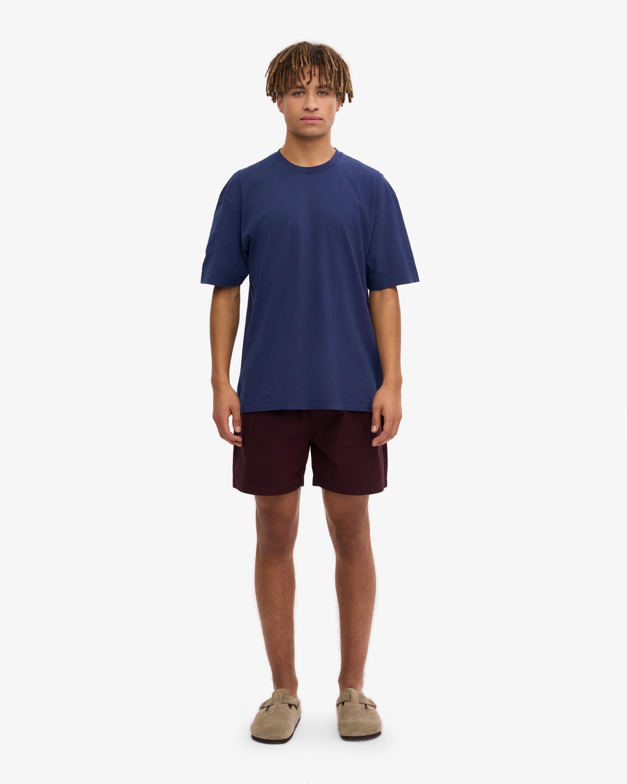 Theory Bron Cotton Polo in Baby Blue Product Image