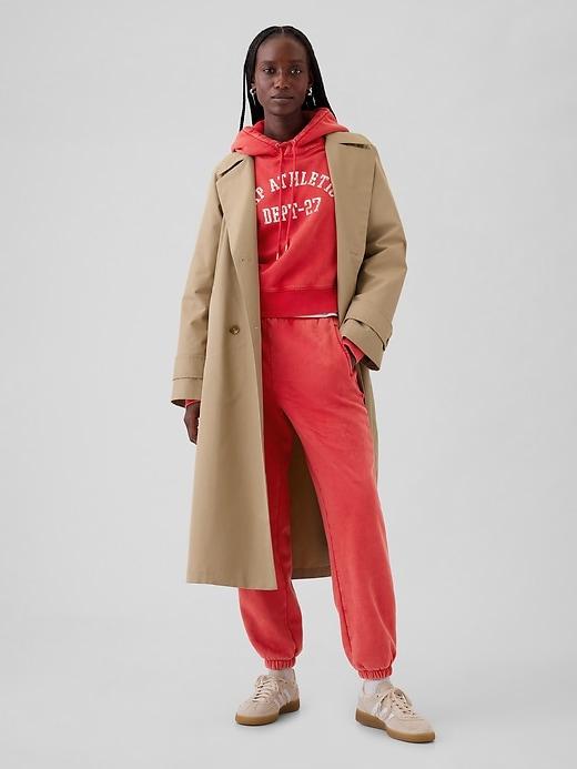 VintageSoft Crop Hoodie Product Image