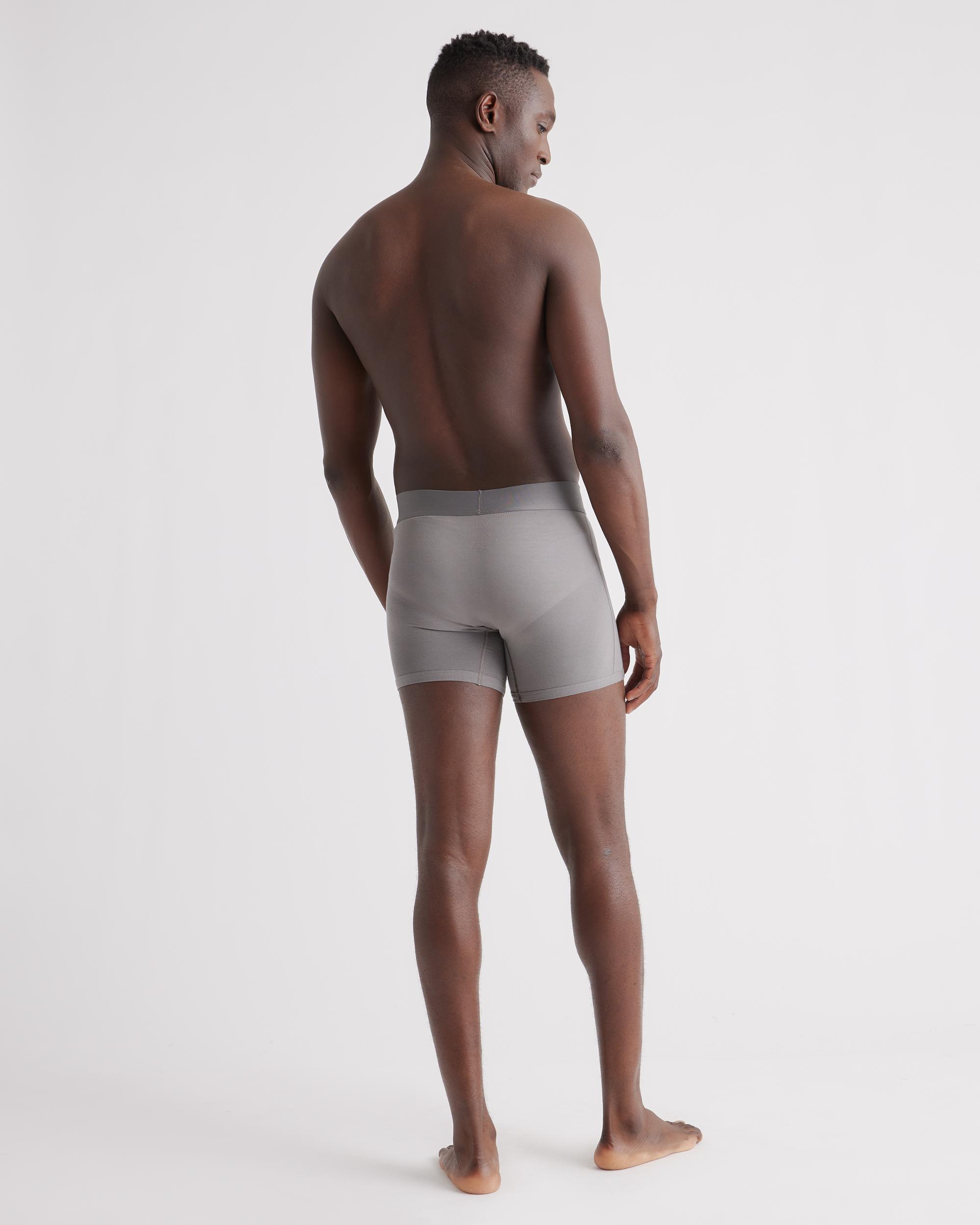Quince | Men's Micromodal 4" Trunk Product Image