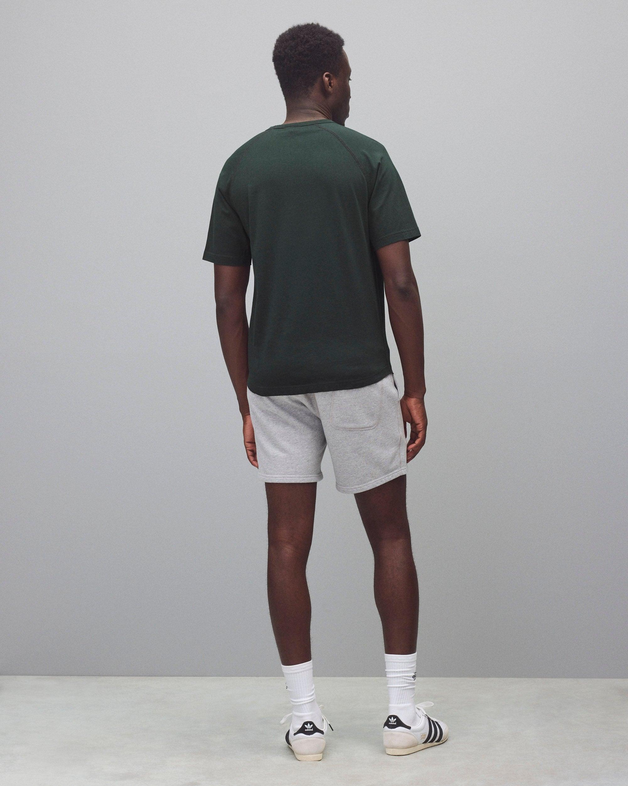 Lightweight Jersey Raglan Standard T-Shirt Male Product Image