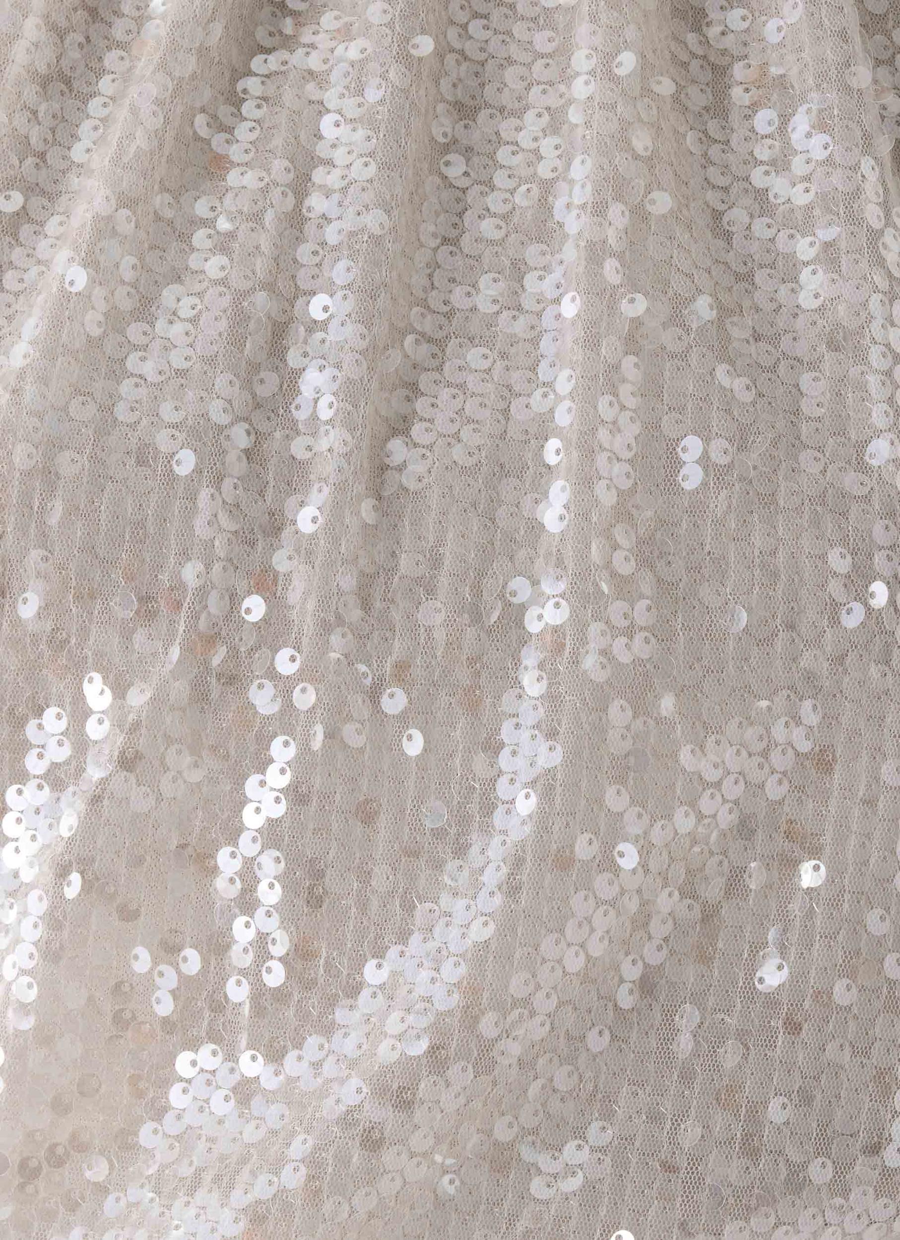 Willow Sequin Top - Silver Product Image