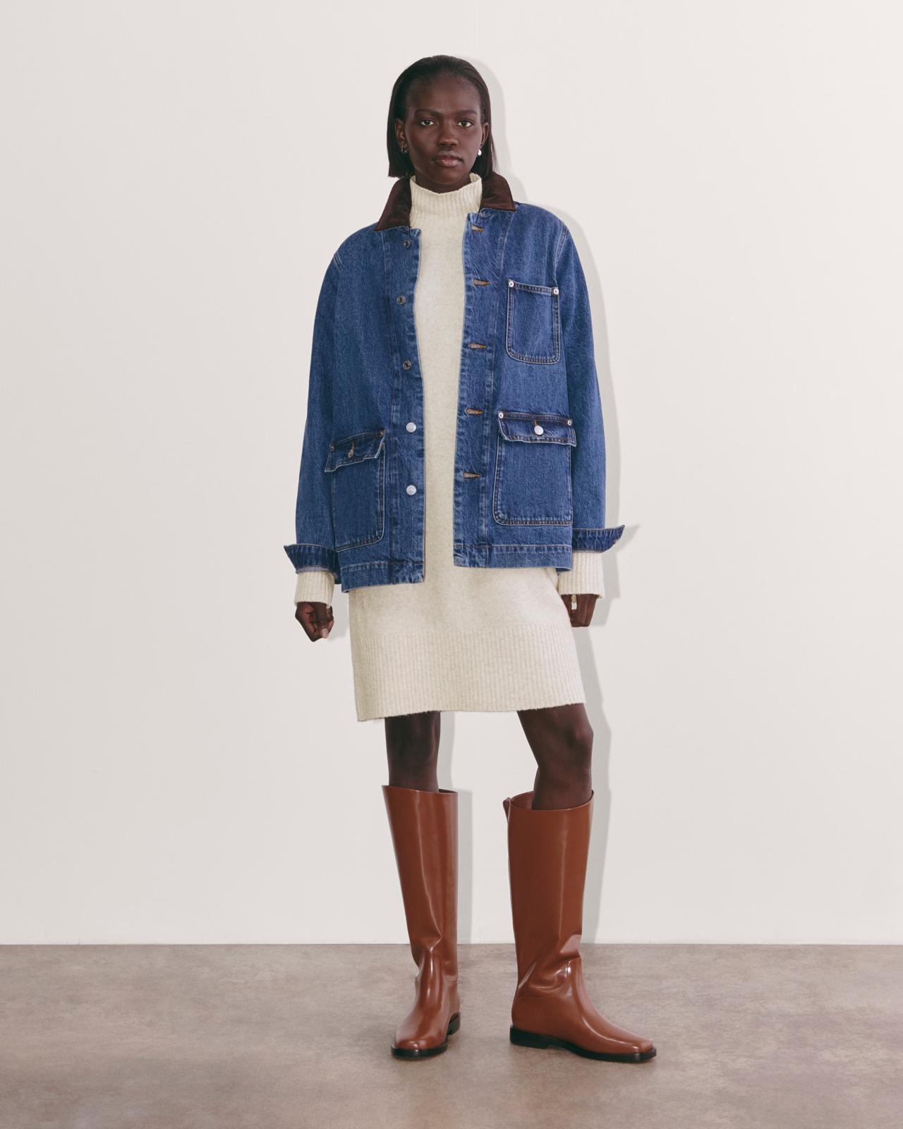 Womens Sweater Dress in Plush Cotton by Everlane Product Image