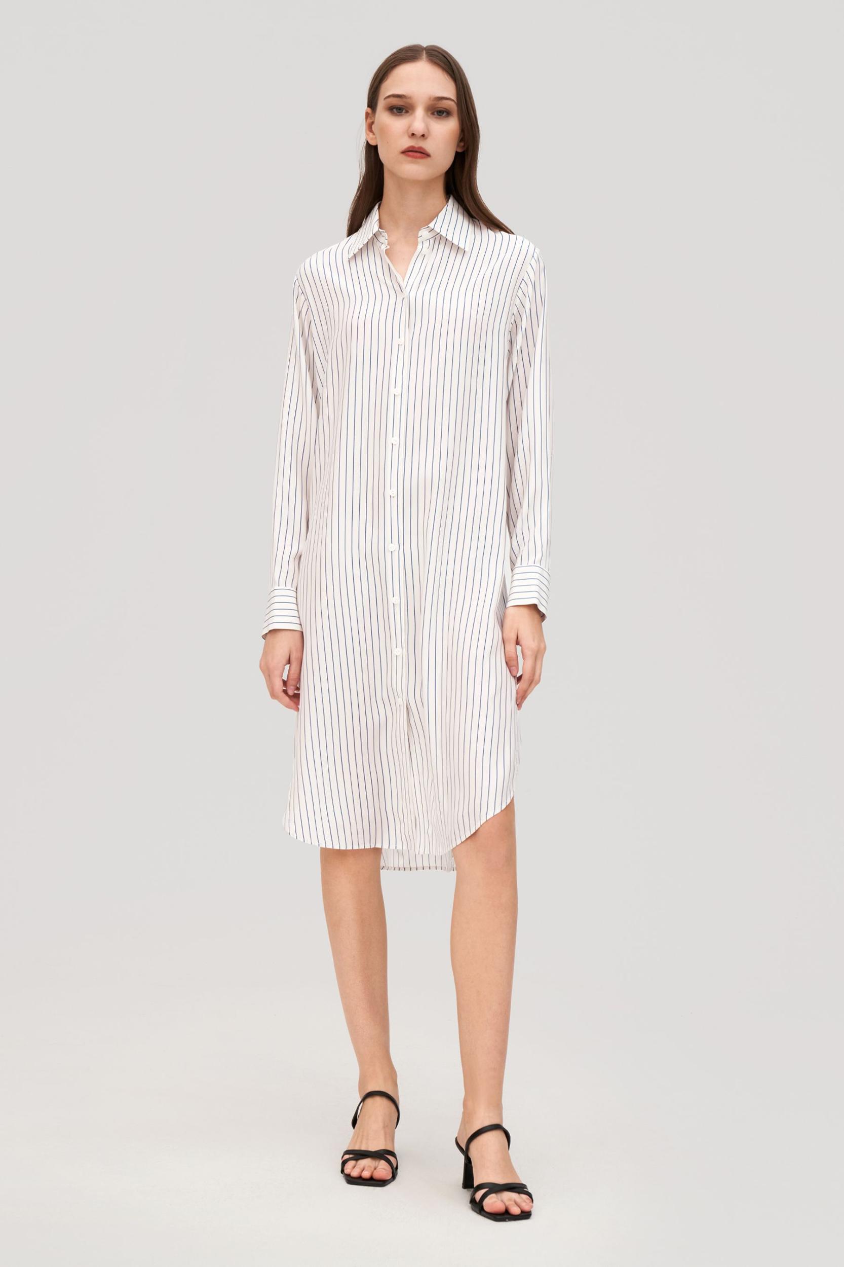 Pinstriped Freesia Shirt Dress Product Image