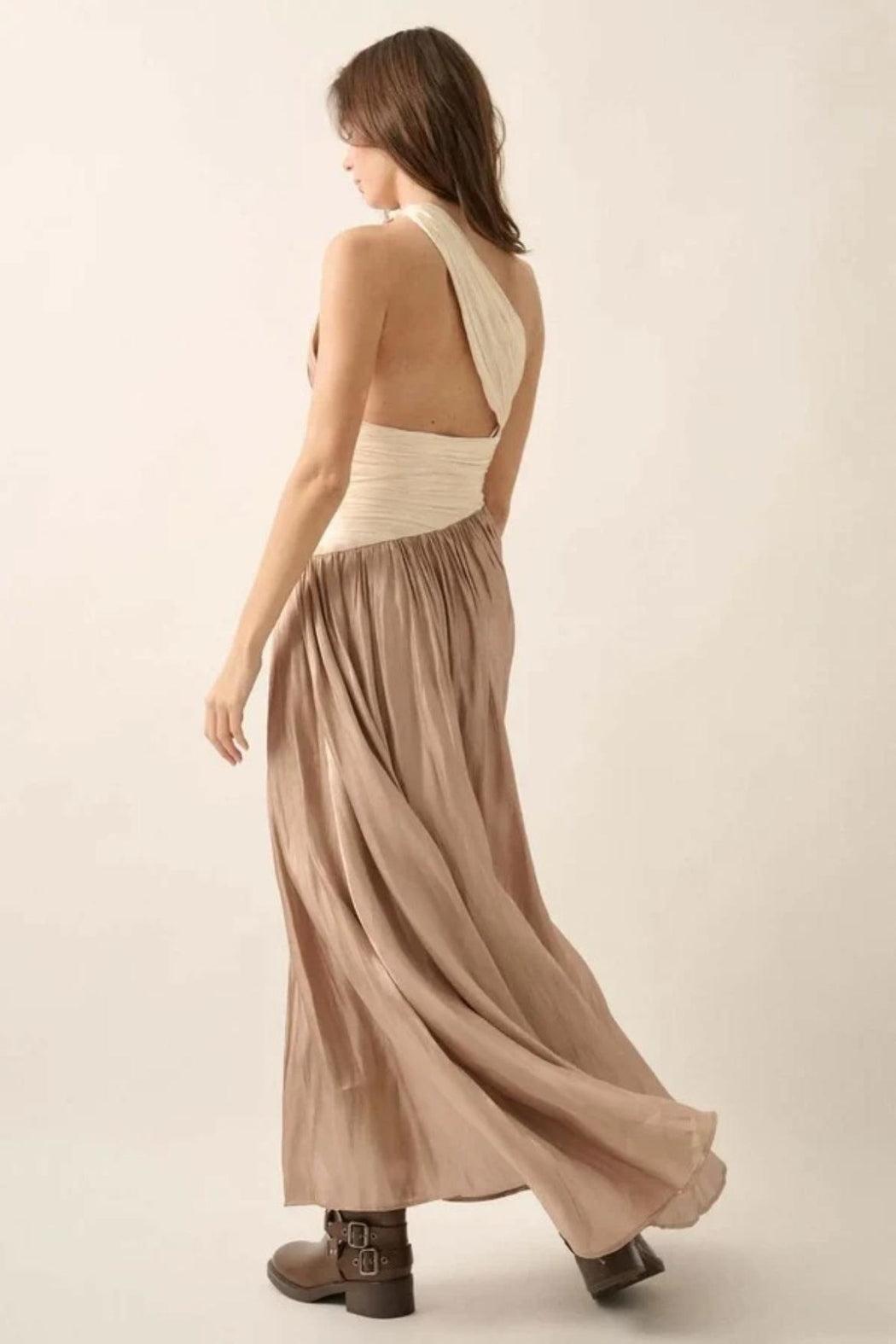 Colorblock Maxi Dress Product Image