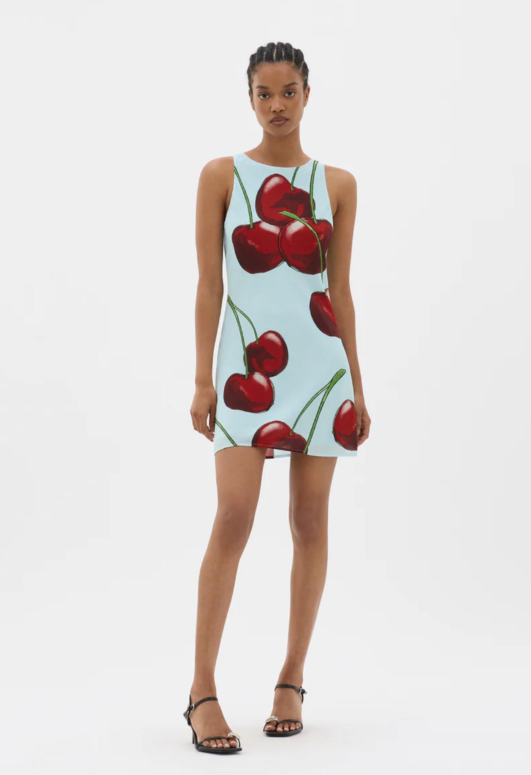 Dayrise Cherry Mini Dress Product Image