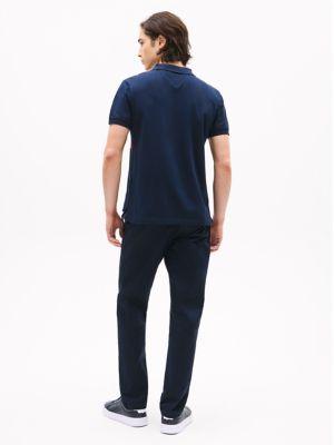 Regular Fit Flag Stripe Polo Product Image