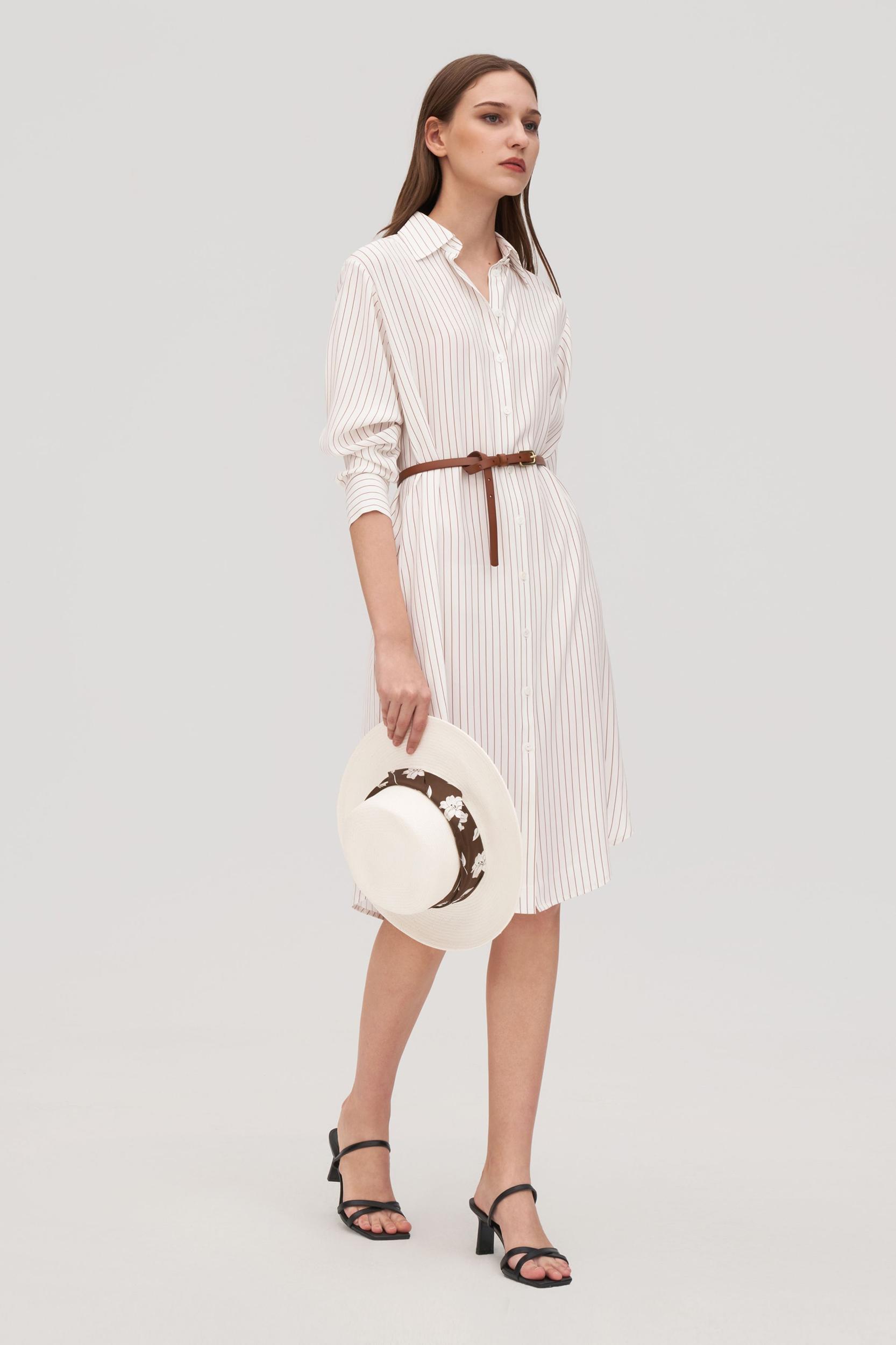 Pinstriped Freesia Shirt Dress Product Image