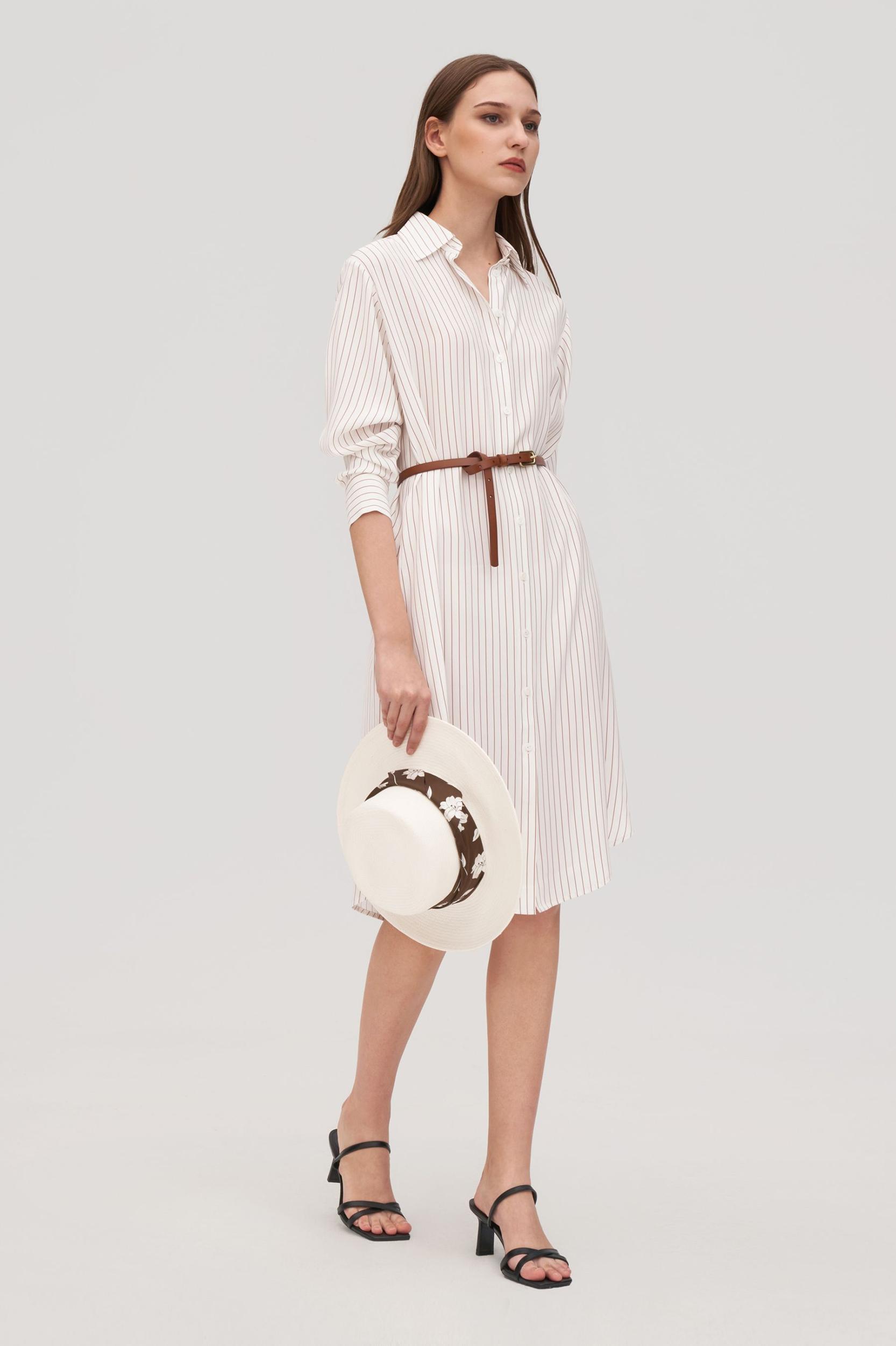 Pinstriped Freesia Shirt Dress Product Image