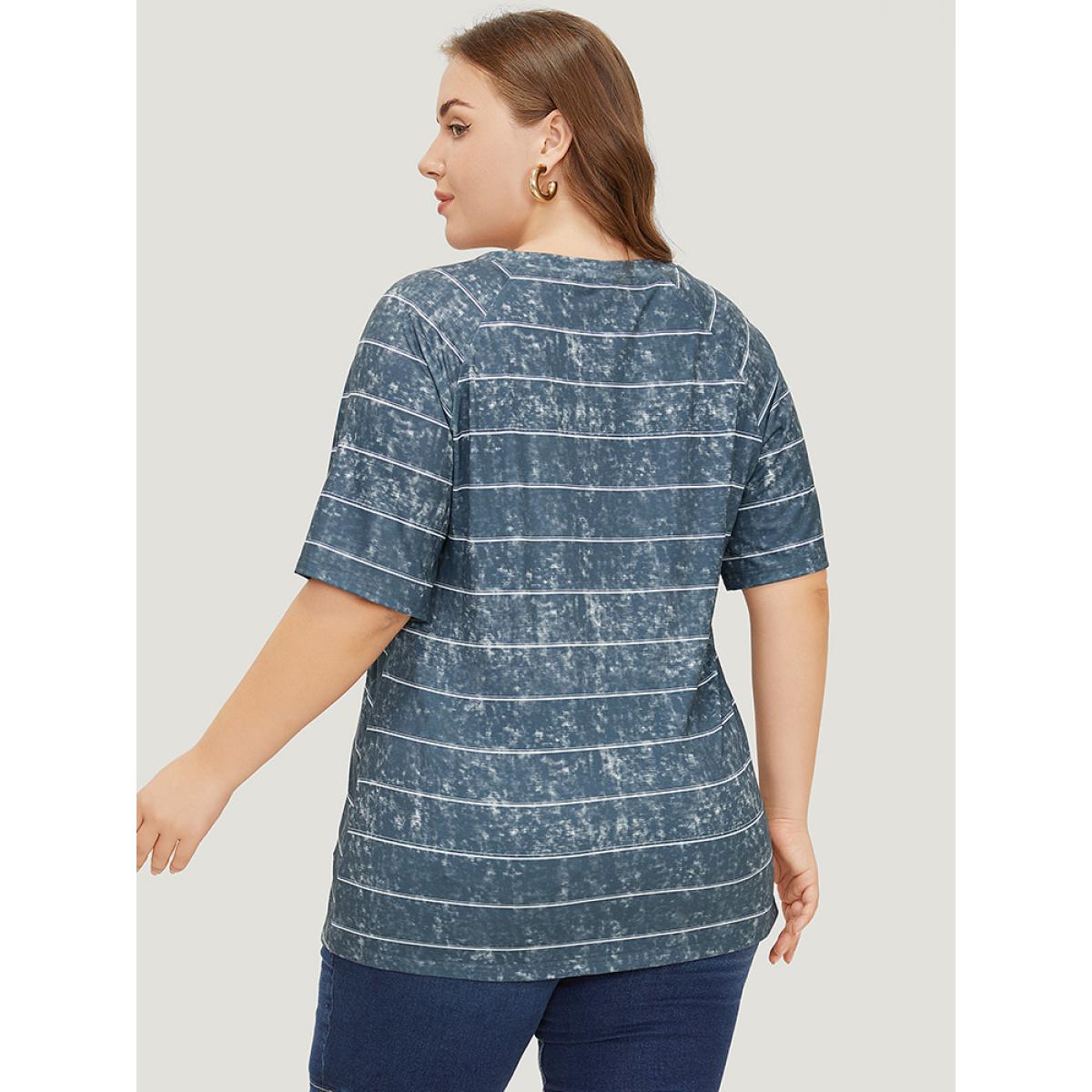 Plus Size Striped Print Raglan Sleeve Vintage T-shirt DimGray Women Casual Contrast Striped Round Neck Dailywear T-shirts BloomChic 22-24/3X Product Image