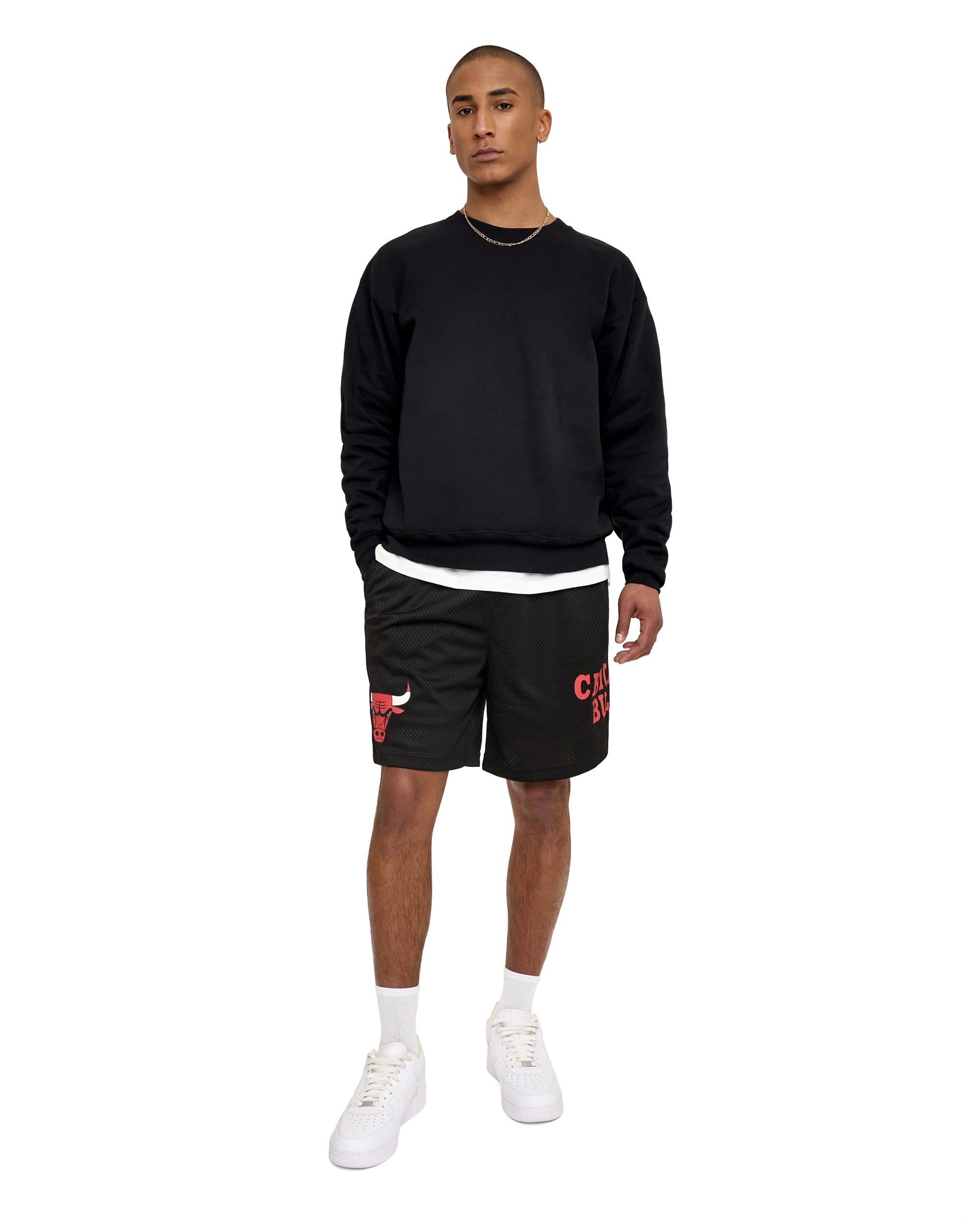 Golden State Warriors Mesh Shorts Male Product Image