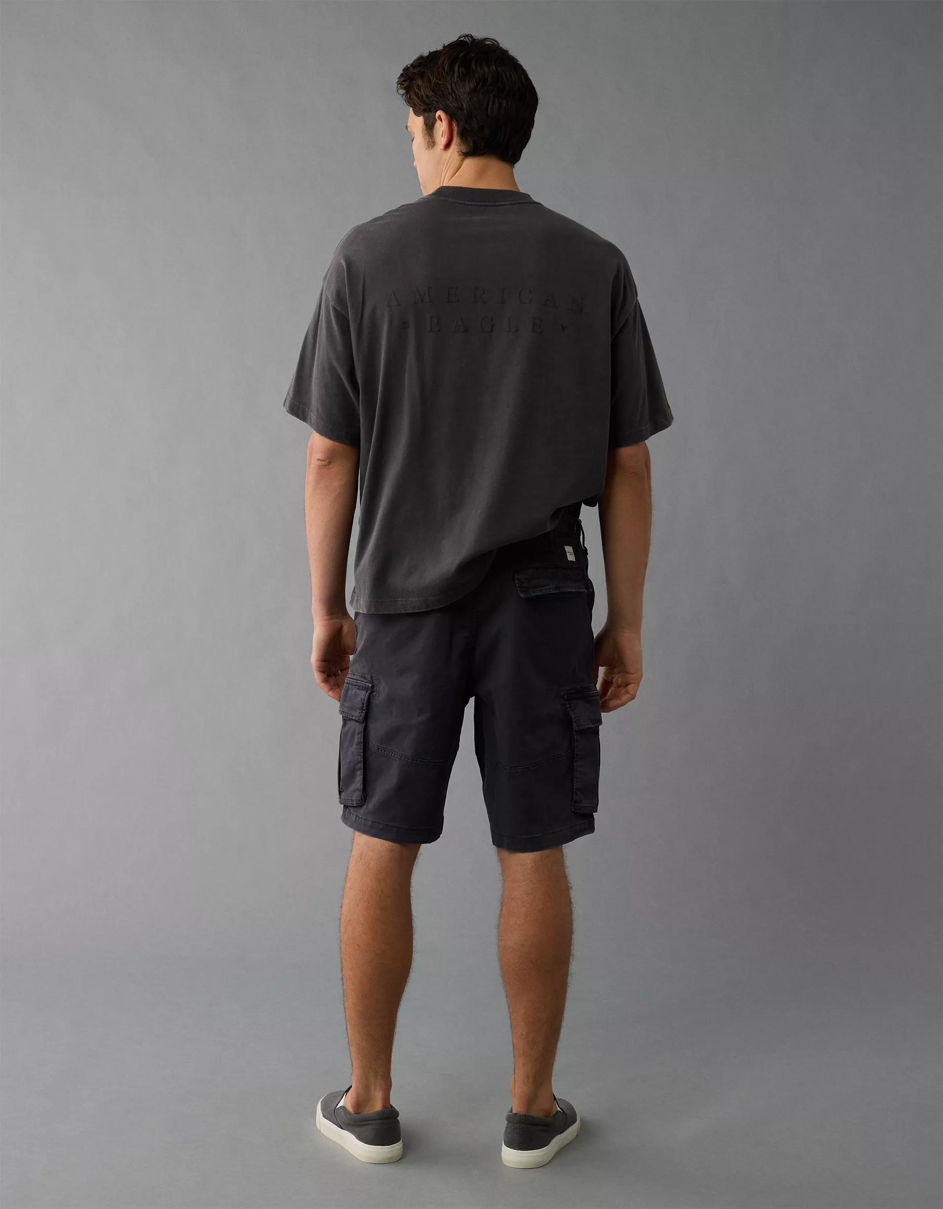 AE 10" Flex Lived-In Cargo Short Product Image