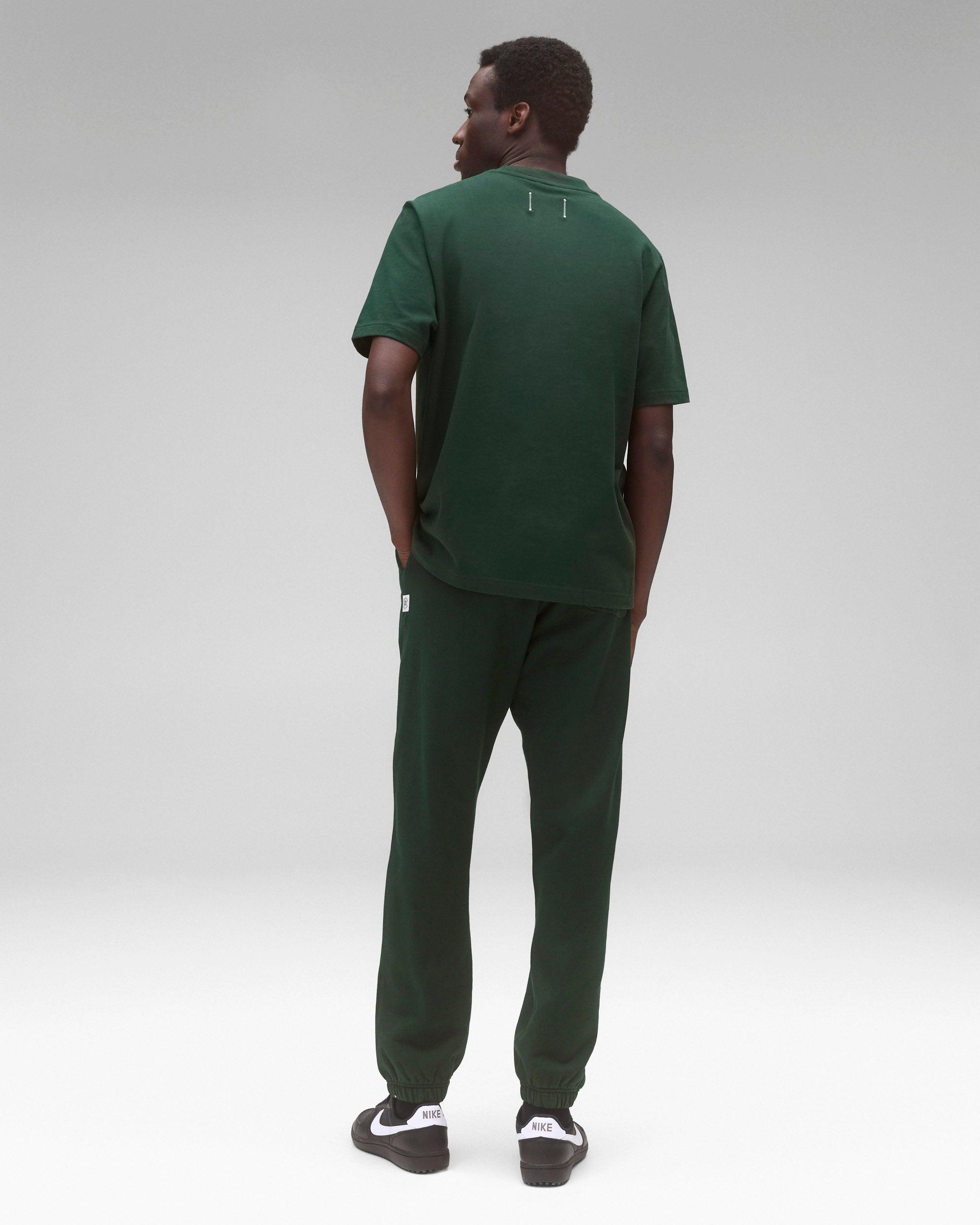 Agolde Ren High Rise Wide Leg Ankle Jean - Sloe Berry Female Product Image