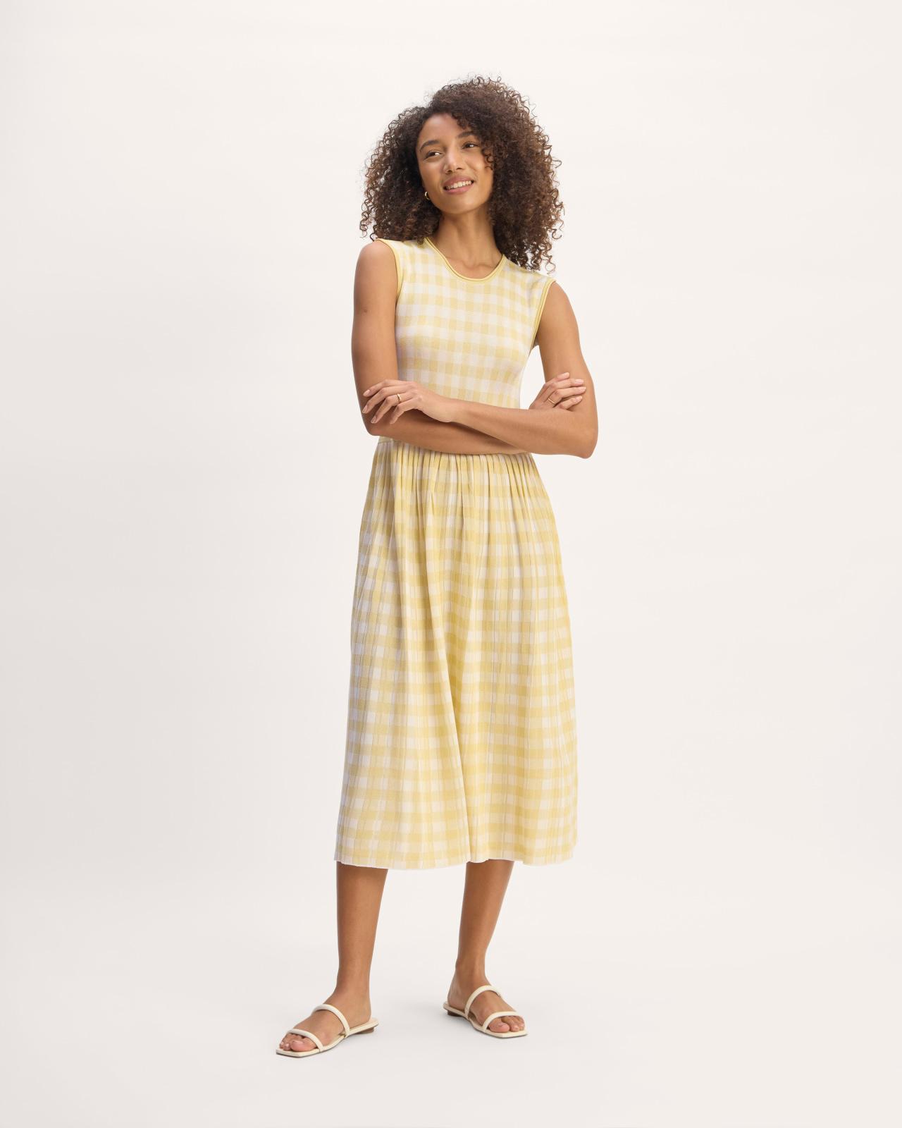 Womens Knit Pleated Dress by Everlane Product Image