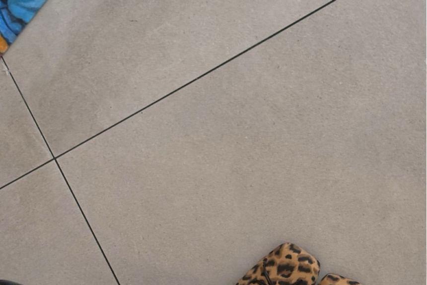 Plain / Leopard Ballet Flats Product Image