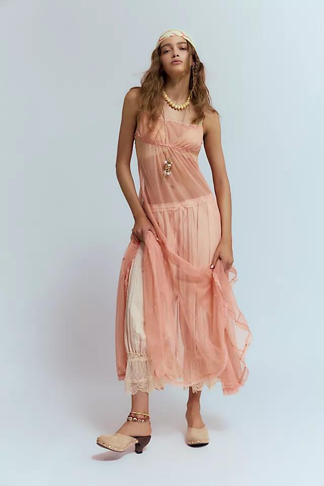 Madeline Mesh Maxi Slip Product Image