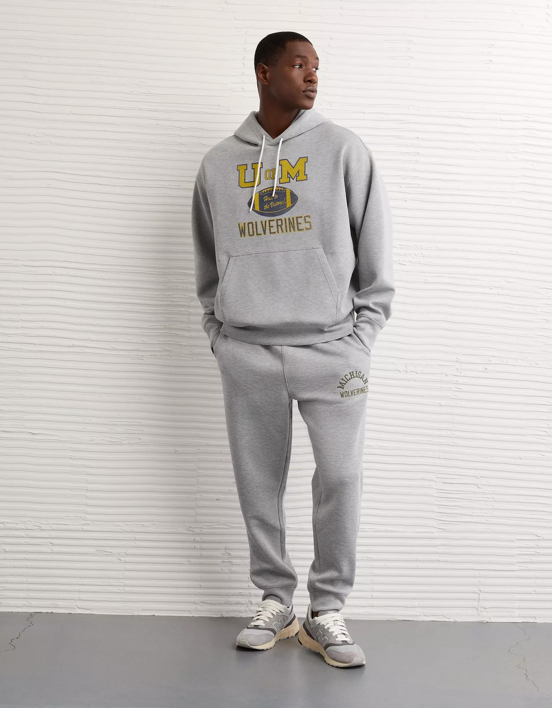 AE 24/7 Michigan Wolverines Graphic Hoodie Product Image