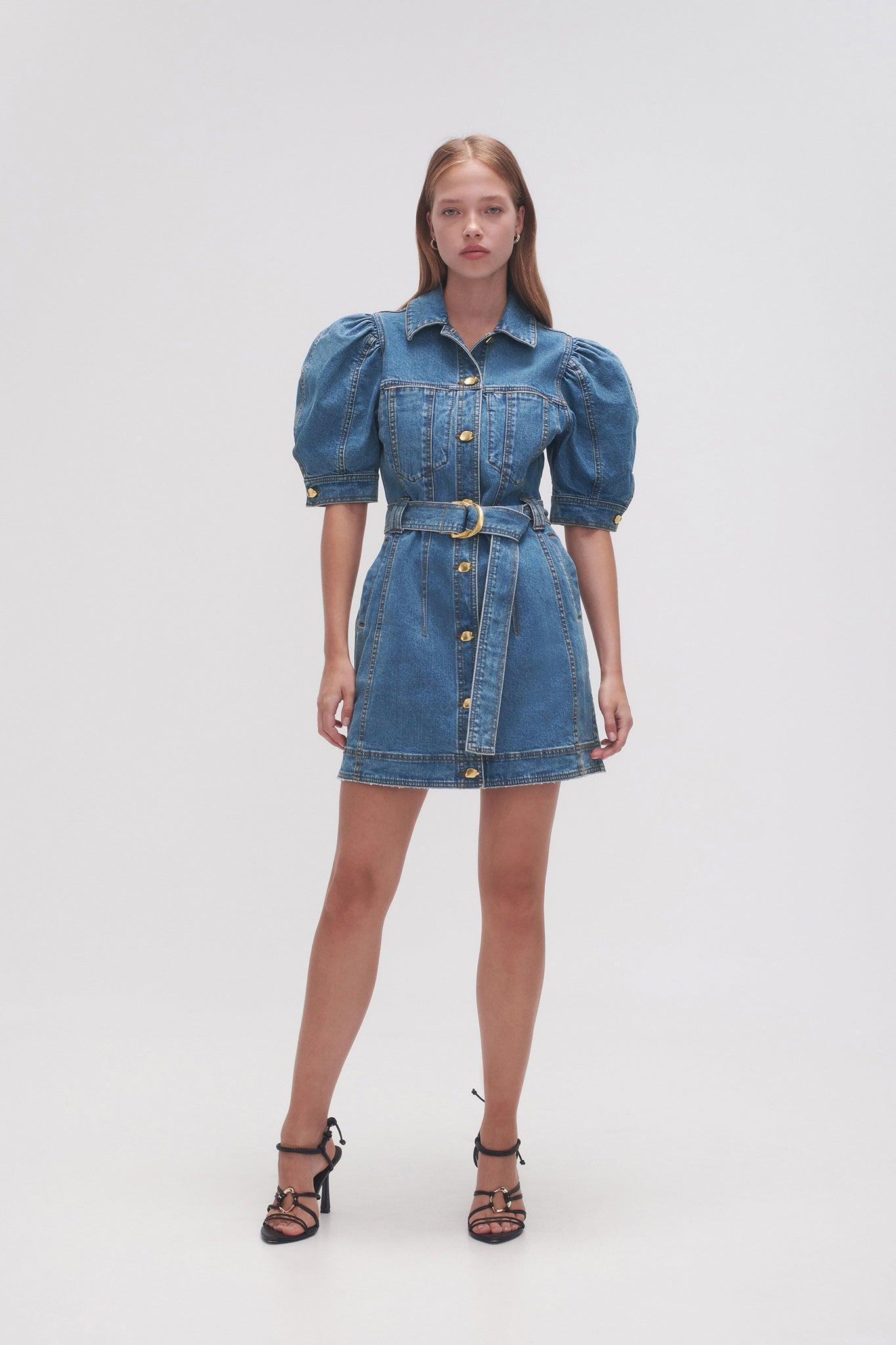 Adriana Puff Sleeve Mini Dress Product Image