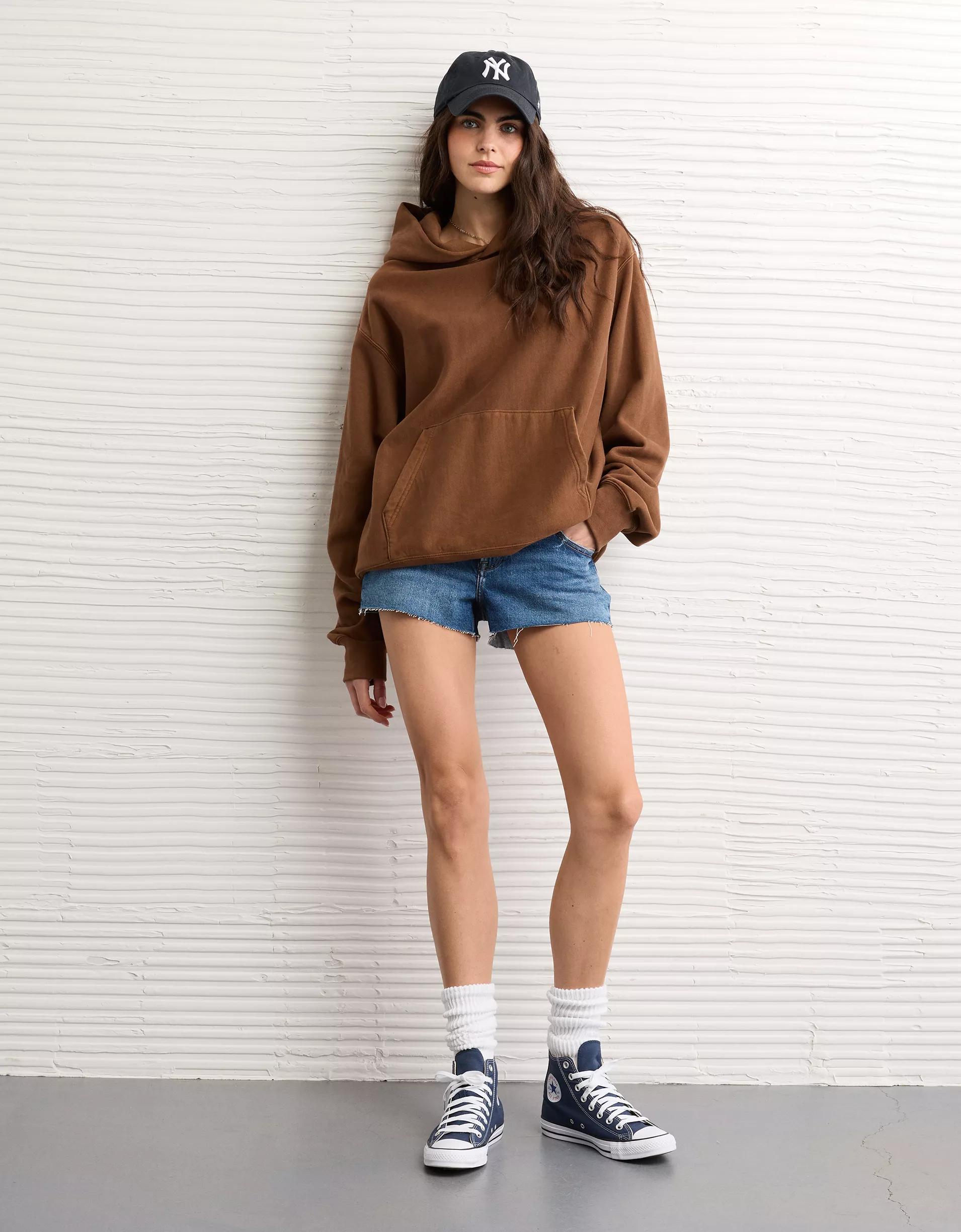 AE Laidback Luxe Heavyweight Hoodie Product Image