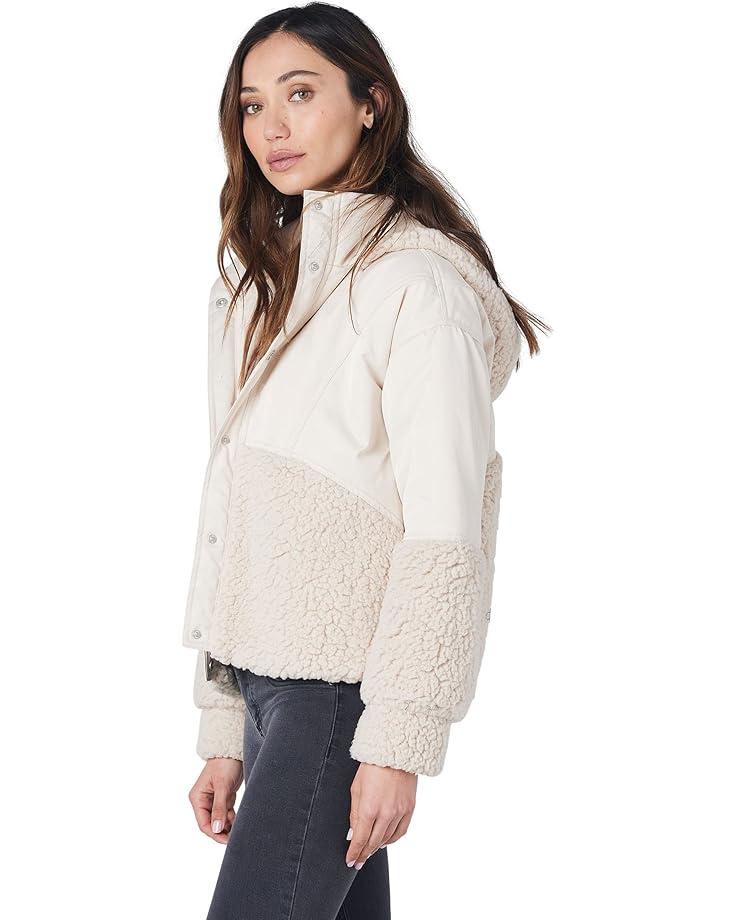 Padded High Neck Bomber Jacket Product Image