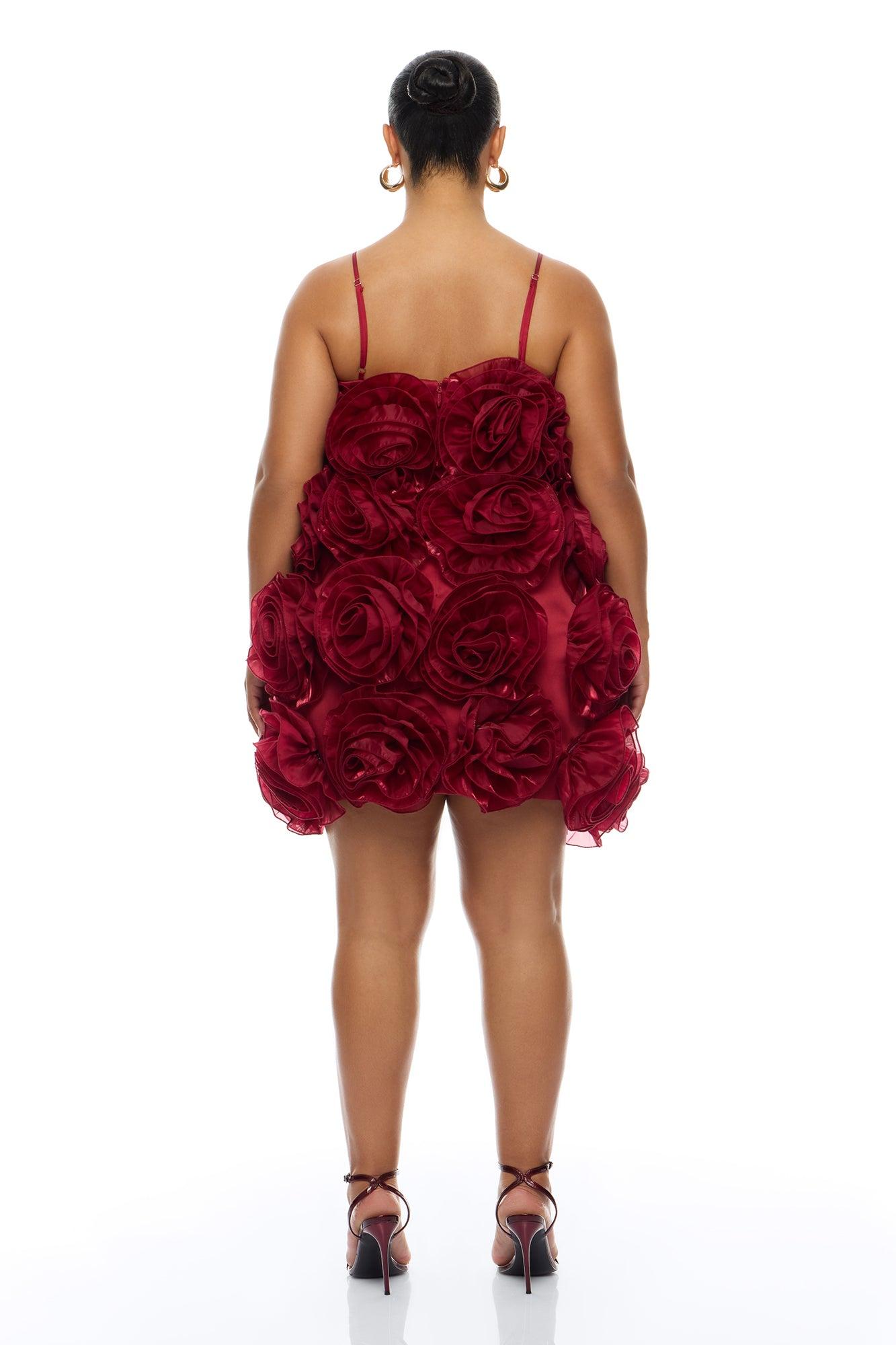 Wild Roses Floral Applique Mini Dress - Wine Female Product Image