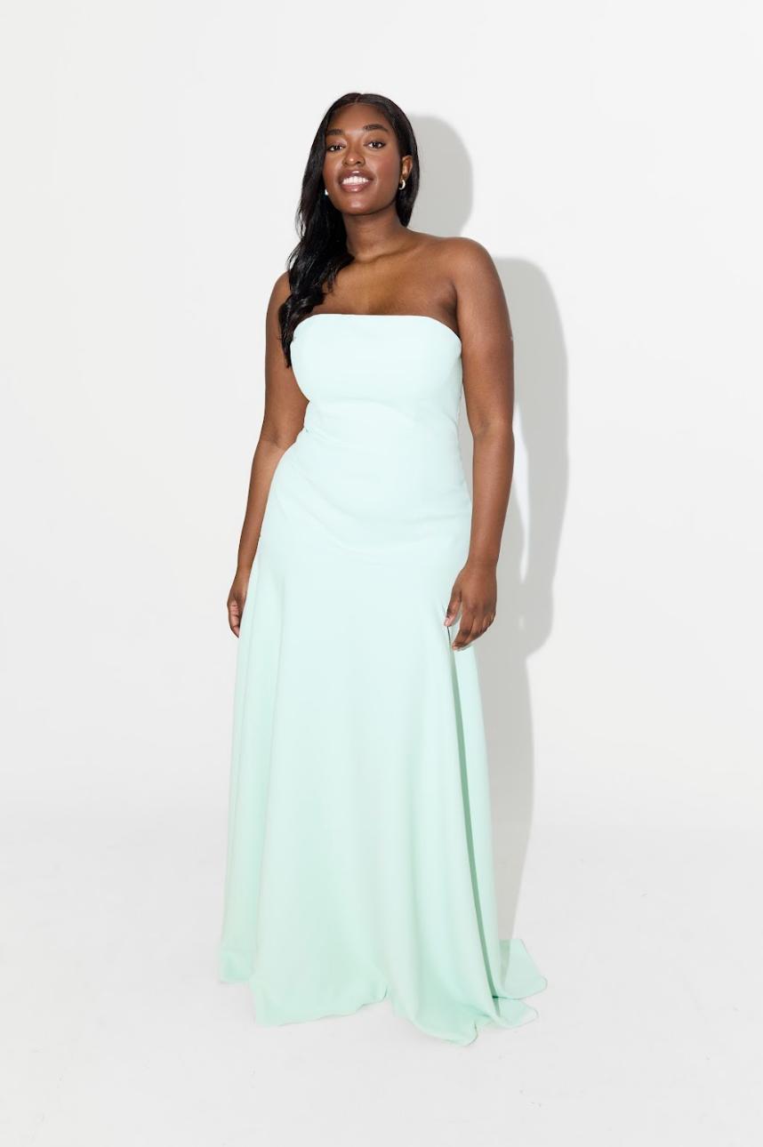 Strapless Maxi Dress Product Image