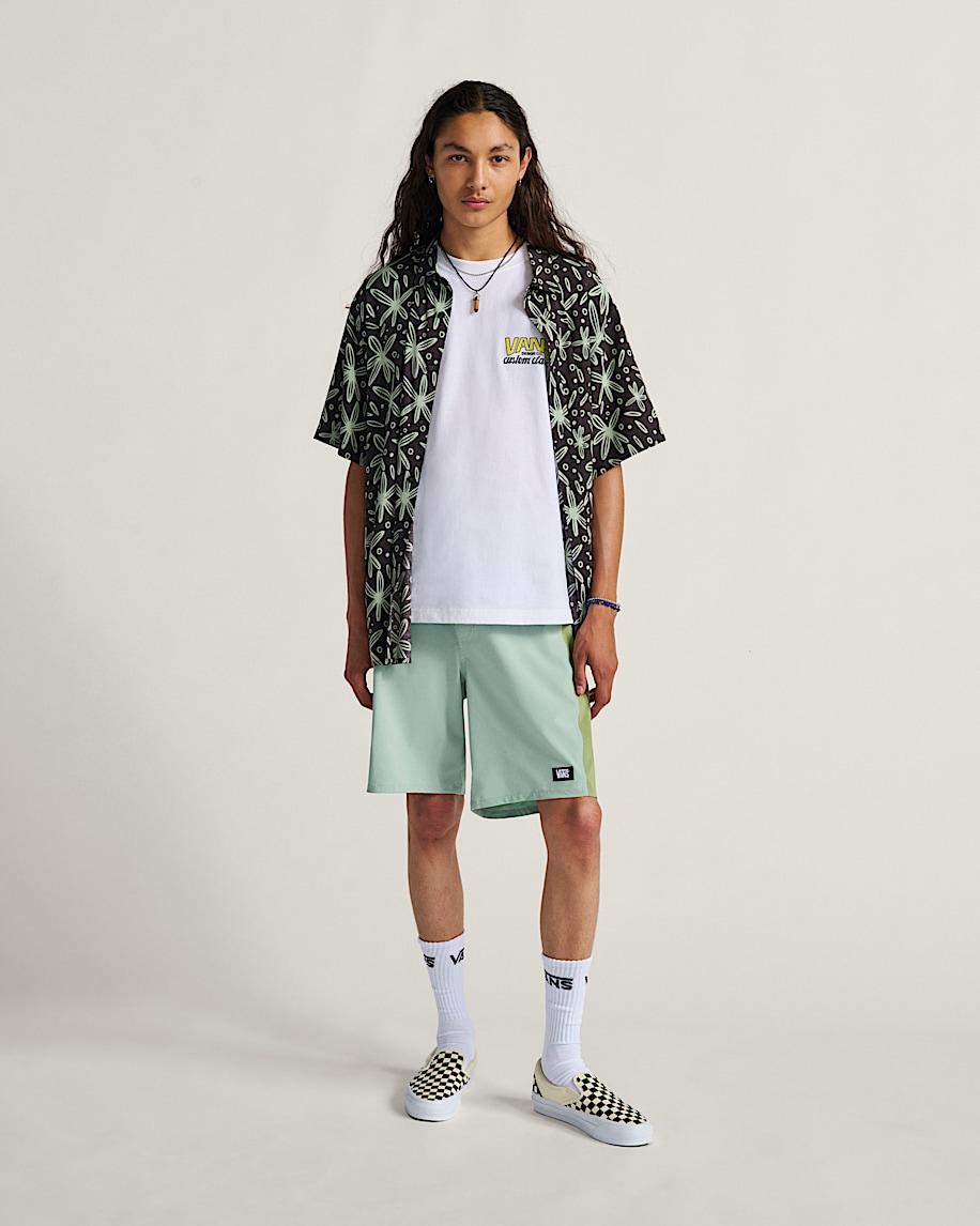 Daily 18'' Boardshorts in Grey Mint Green| Vans US Product Image