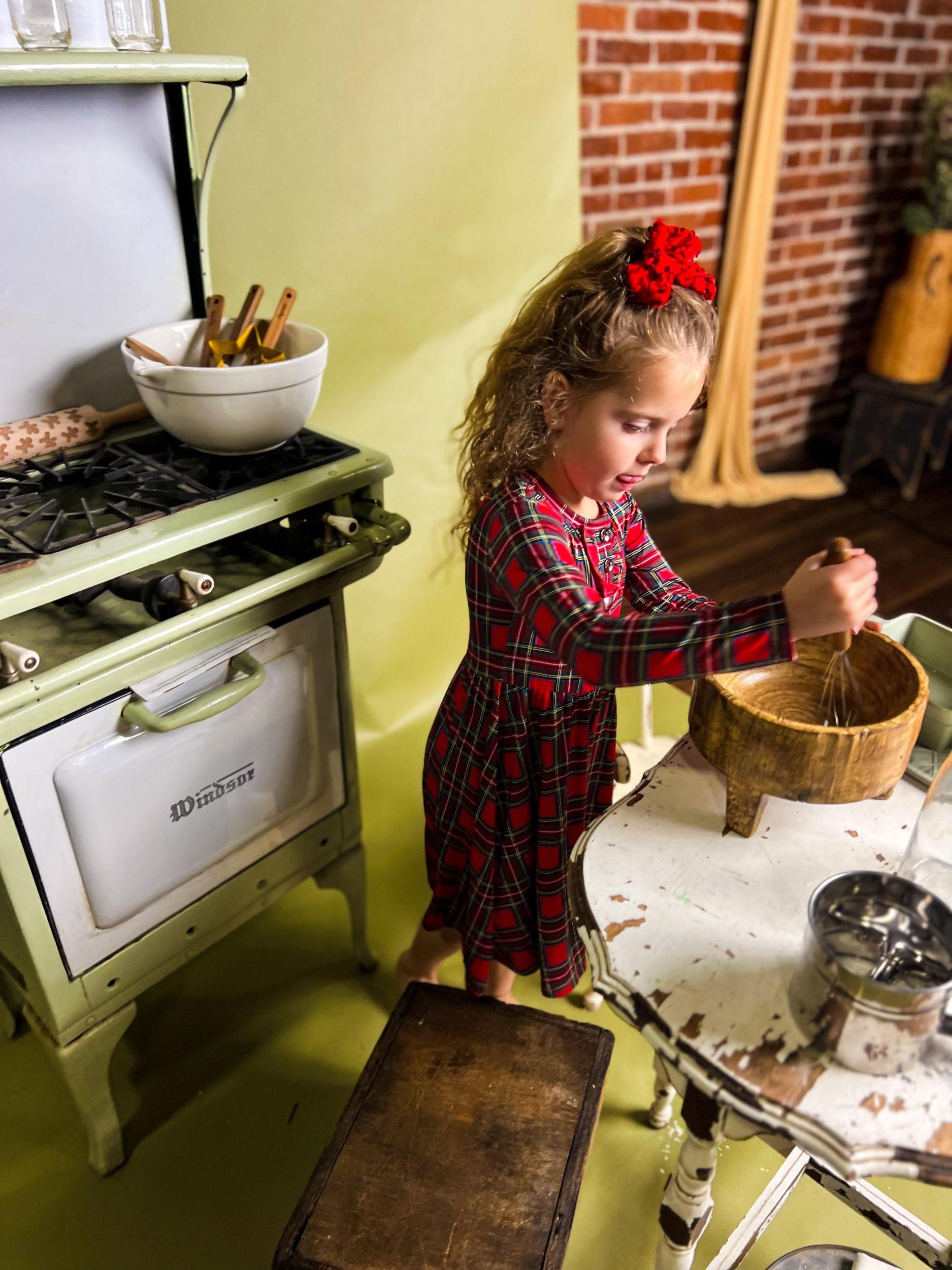 Holland Tutu Dress Product Image