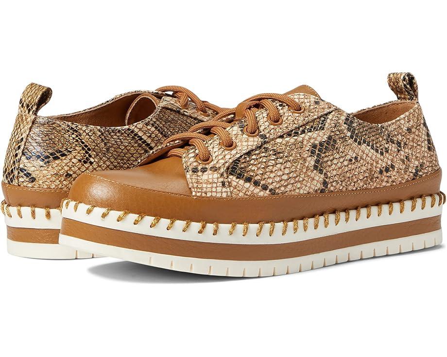 Online Lace-up Shoes Product Image