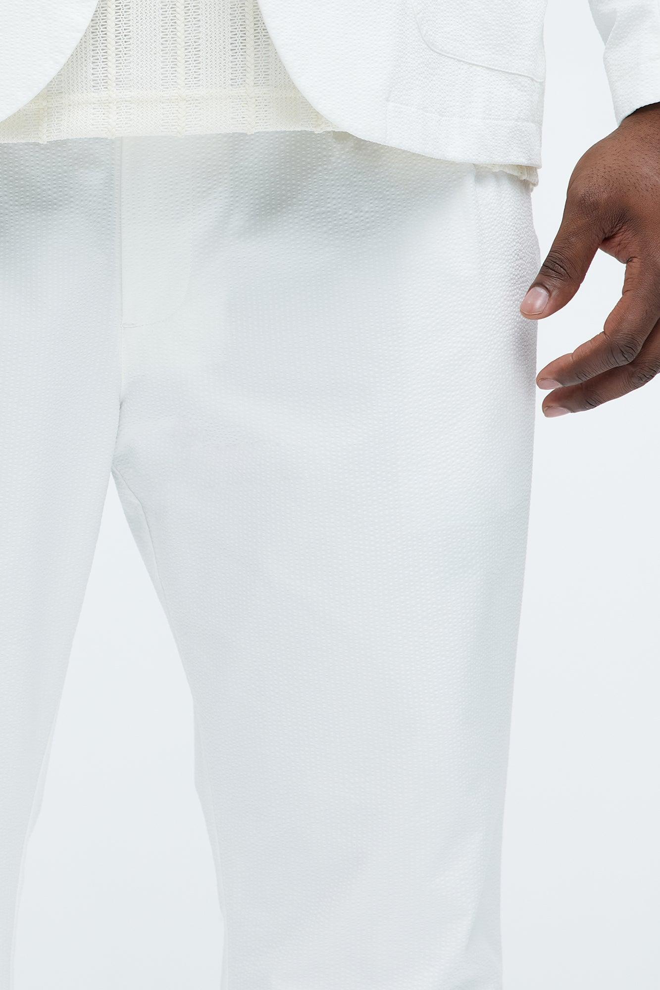 Seersucker Pleated Pants - White Product Image