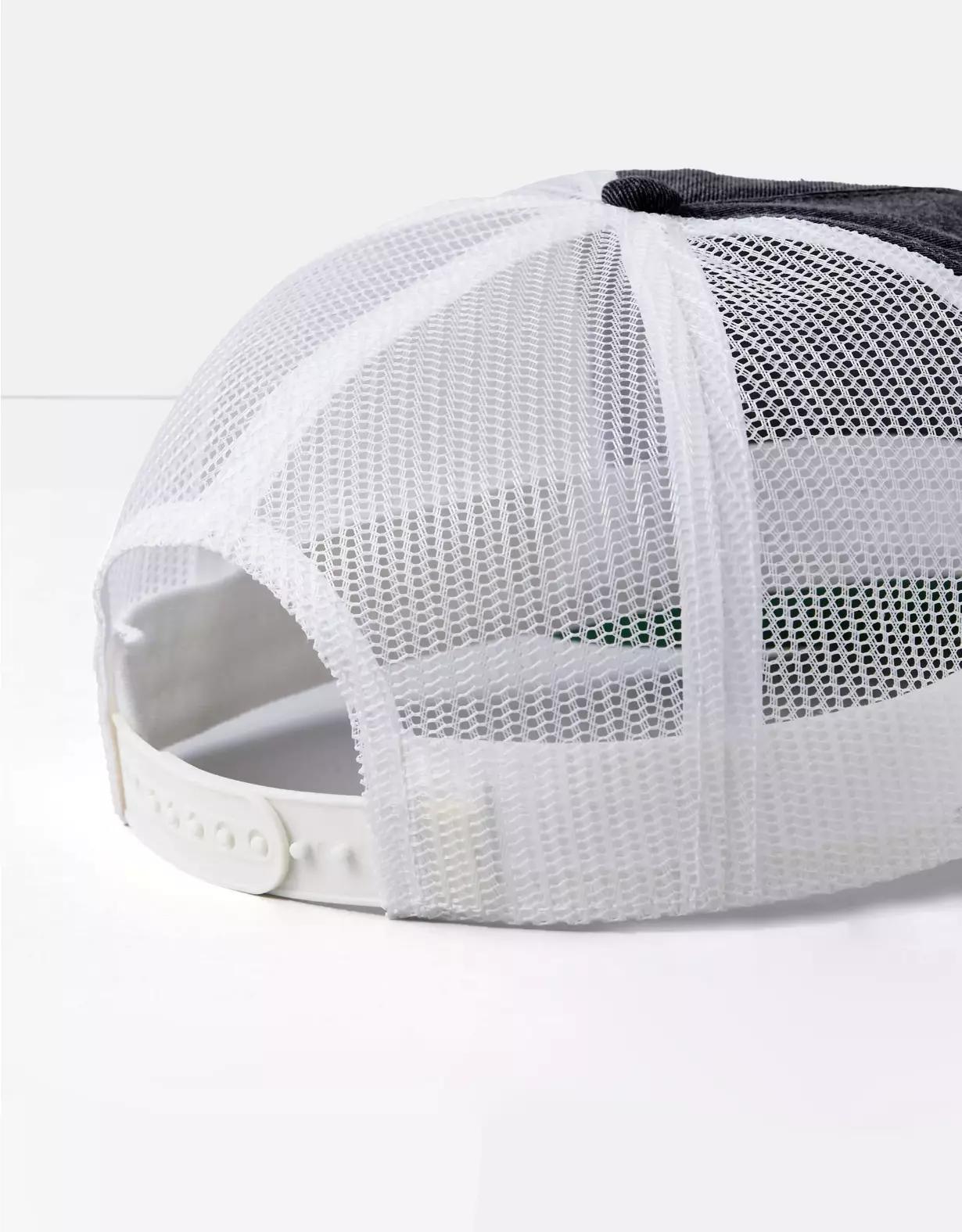 AE Eagle Twill Trucker Hat Product Image