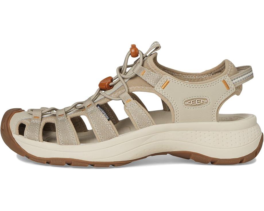 Newport H2 Product Image