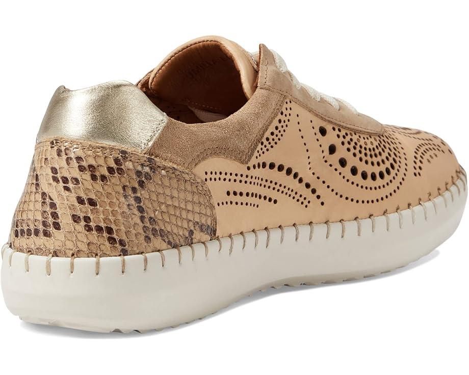 Picasa Product Image