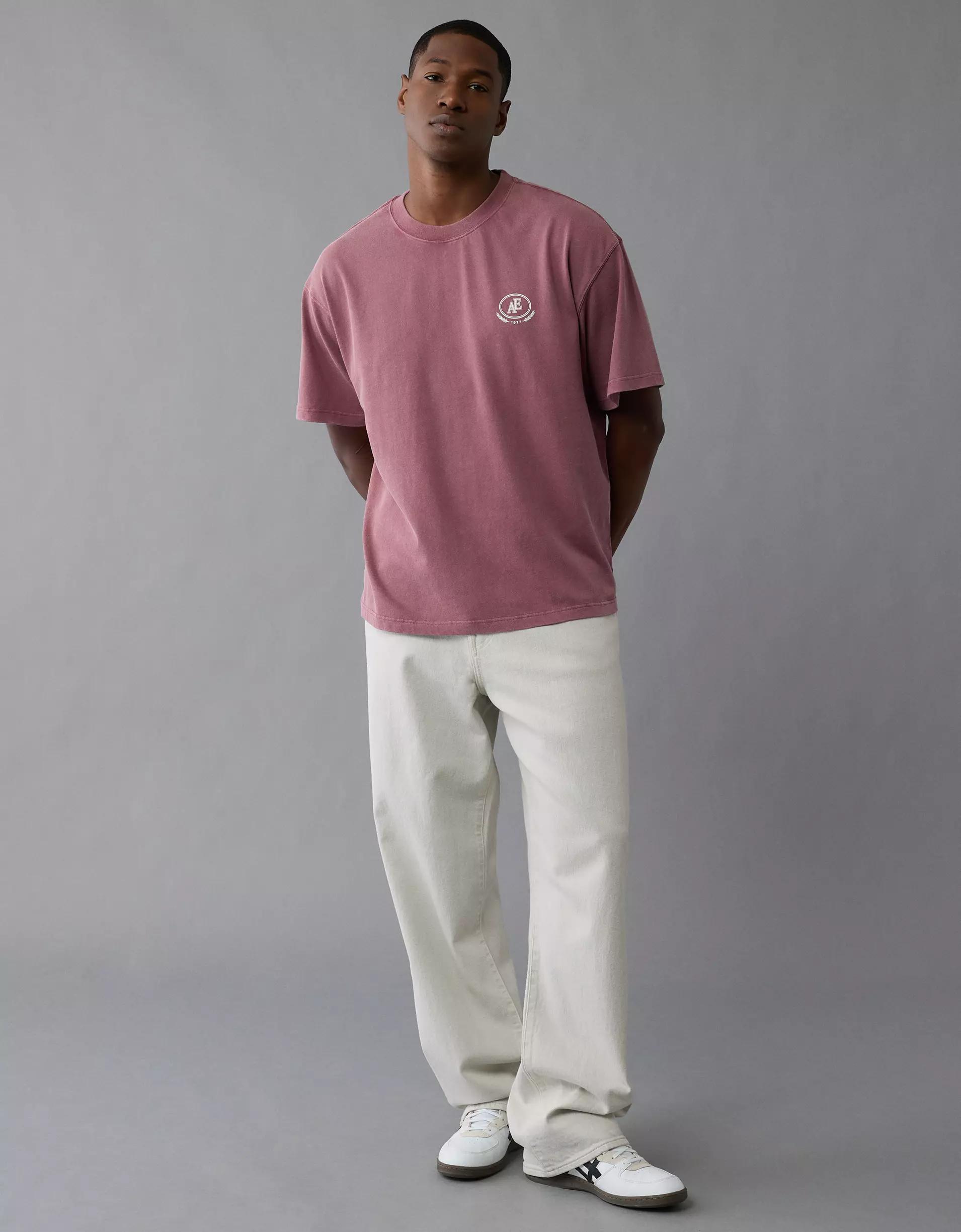 AE Boxy Logo Graphic T-Shirt Product Image