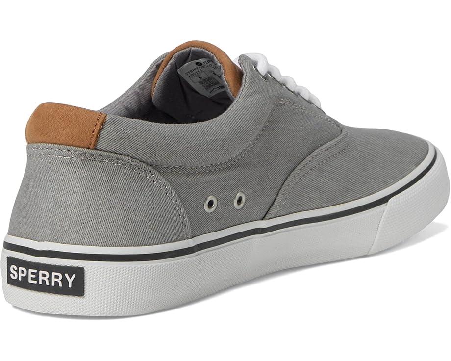 CVO Canvas Product Image