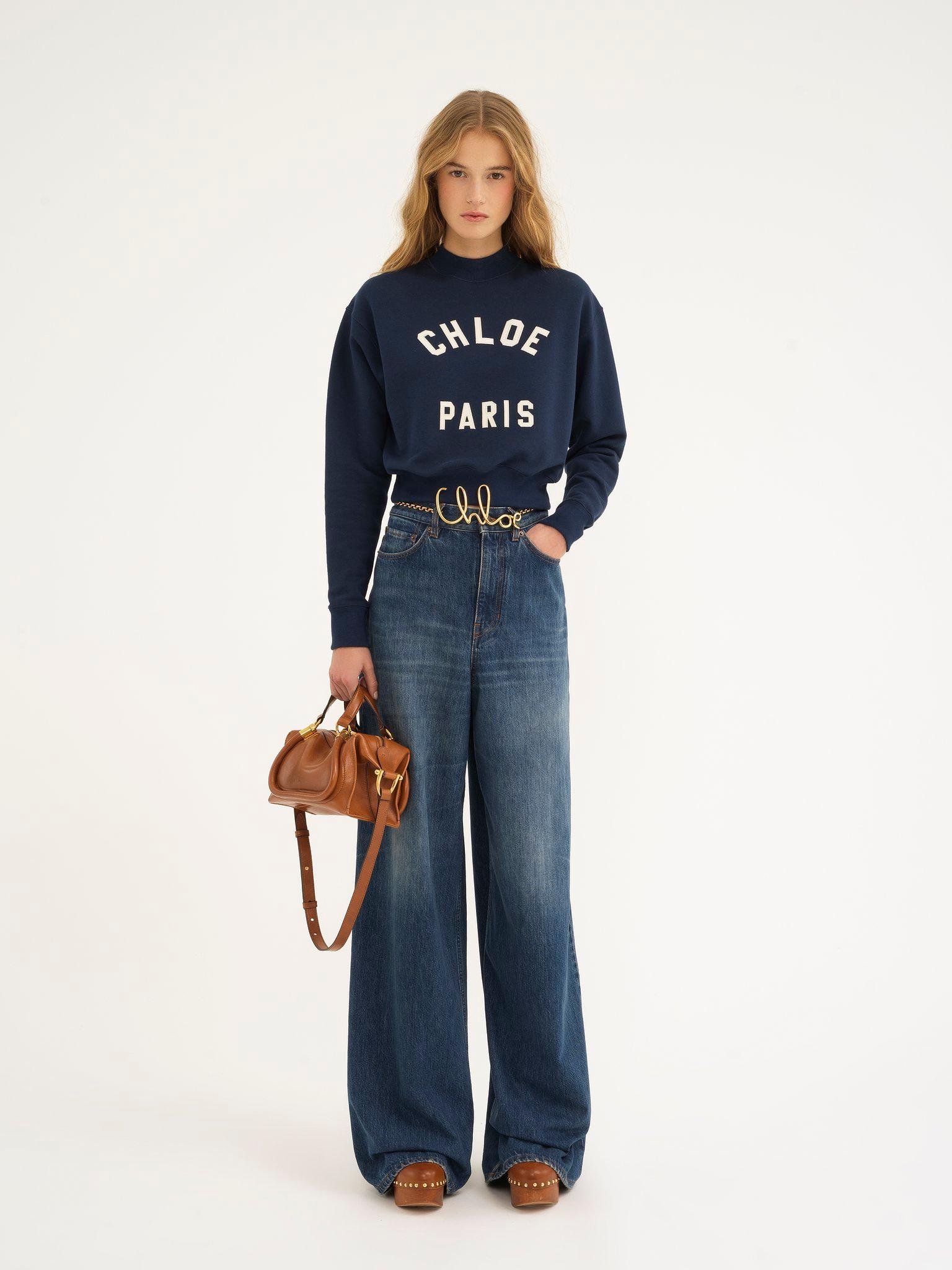 Small Paraty 24 bag in shiny leather Product Image