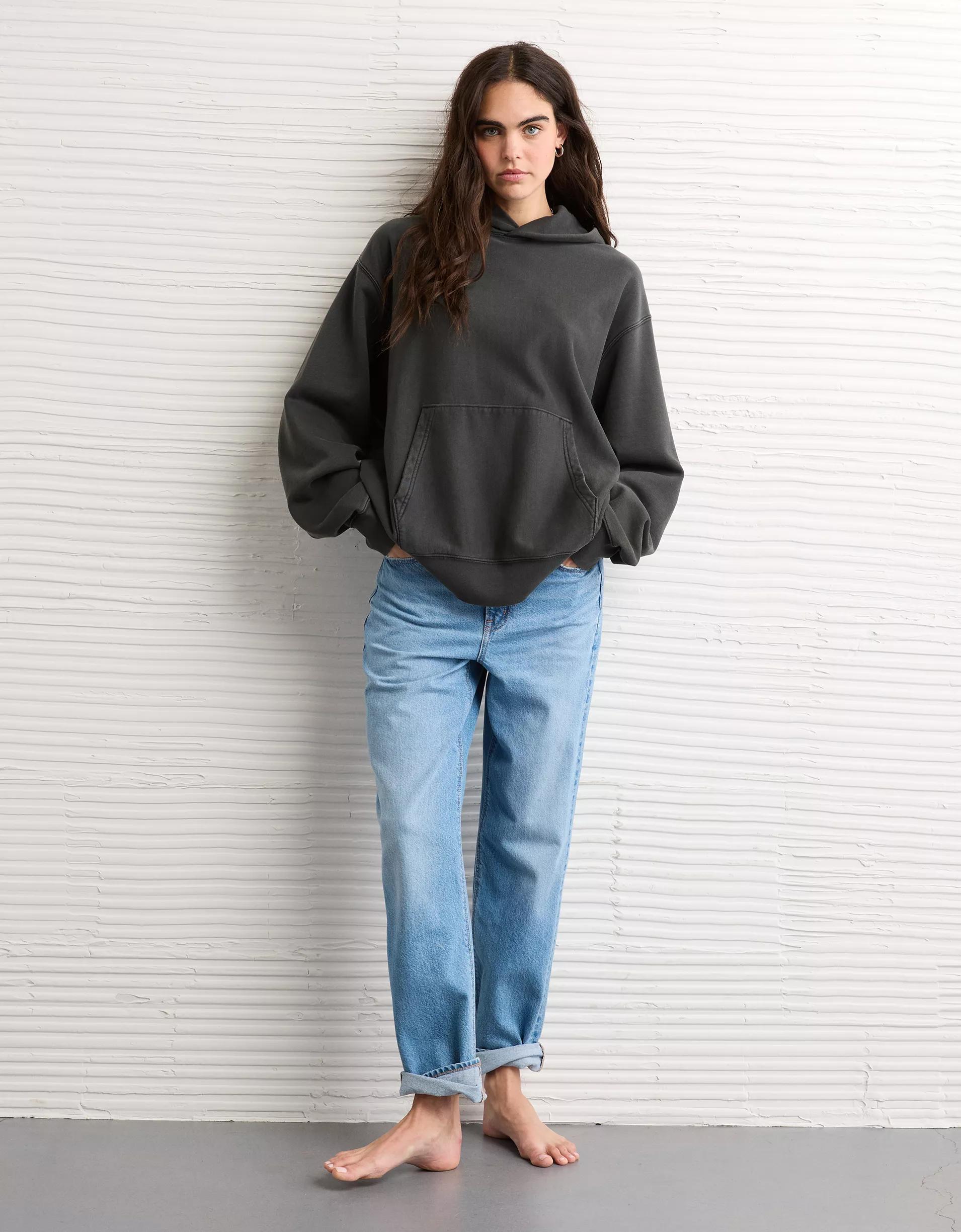 AE Laidback Luxe Heavyweight Hoodie Product Image