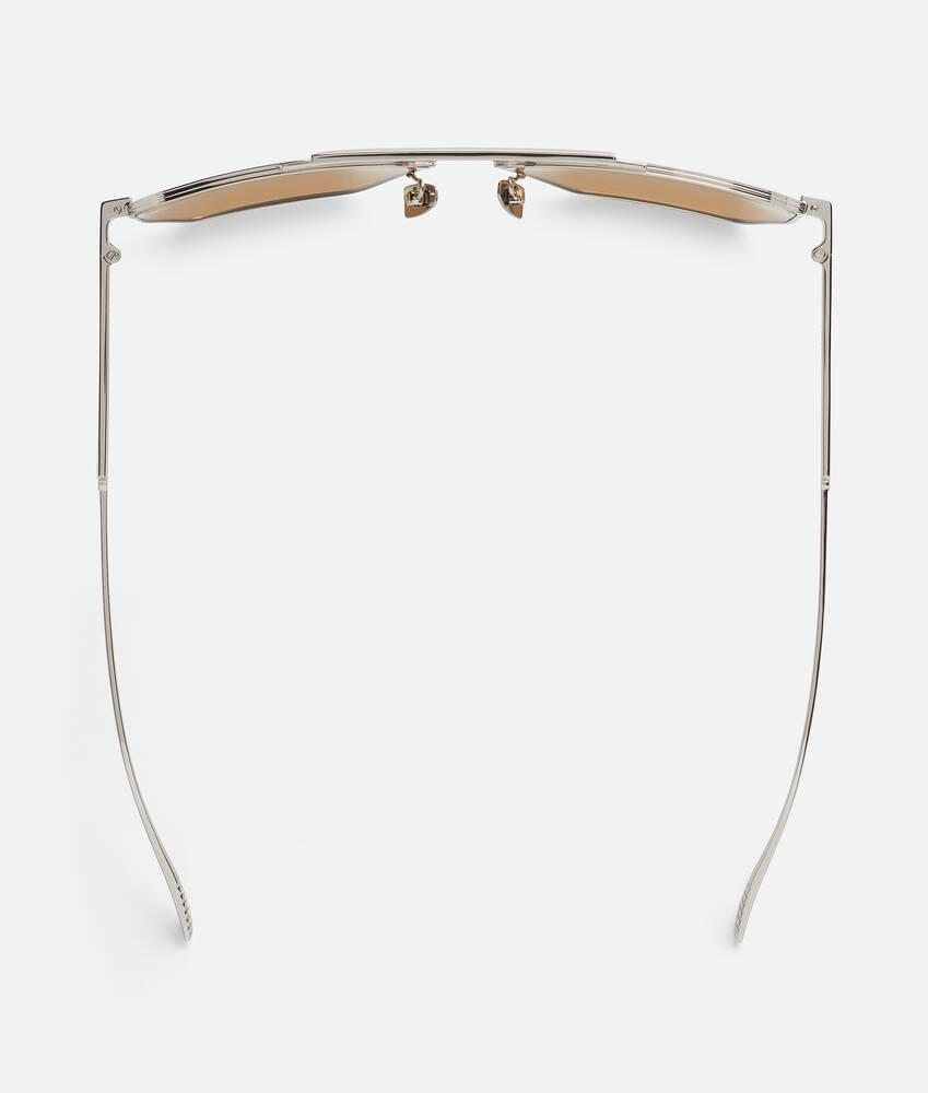 Men's Classic Aviator Sunglasses in Silver / Brown Product Image