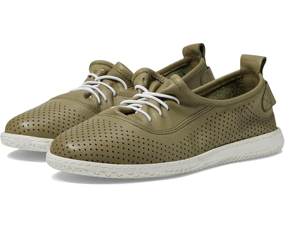 Picasa Product Image