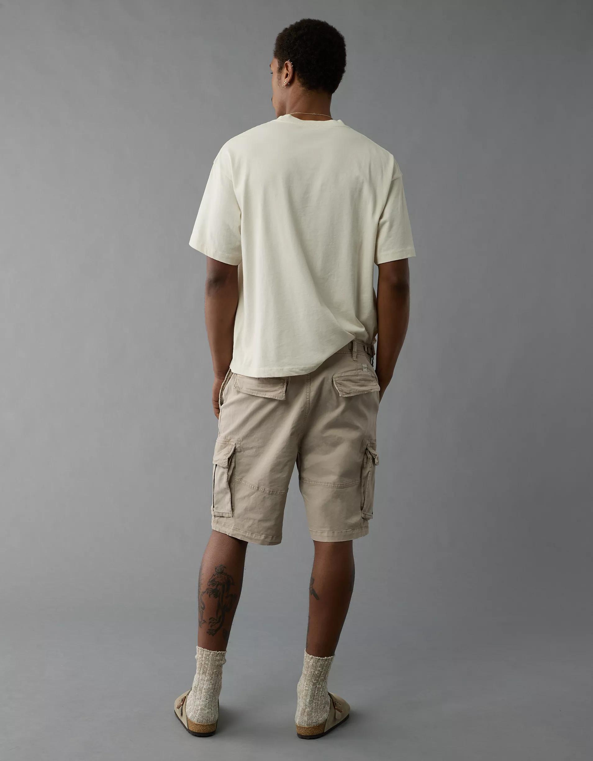 AE 10" Flex Lived-In Cargo Short Product Image