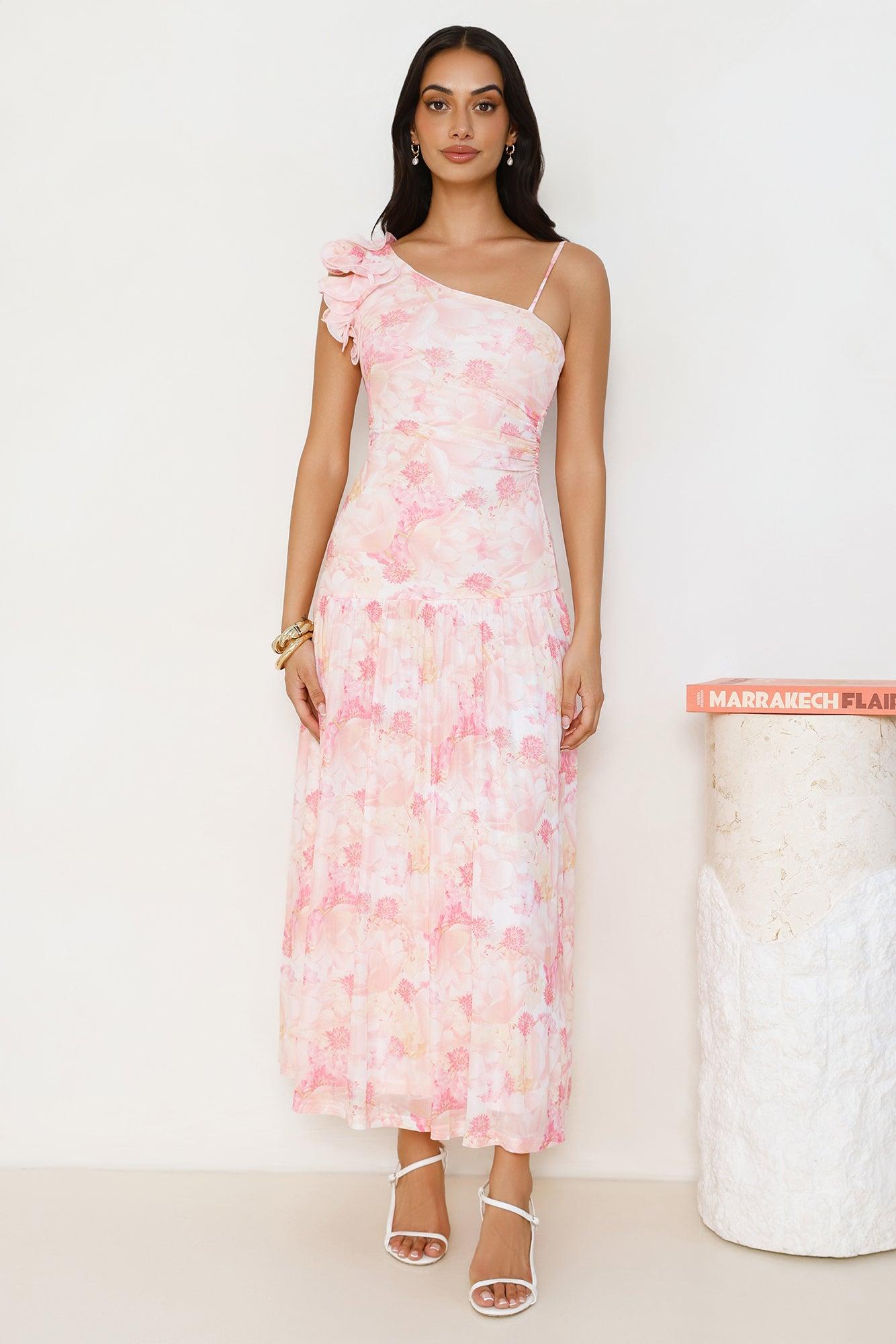 Chic Encounters Mesh Maxi Dress Print Product Image